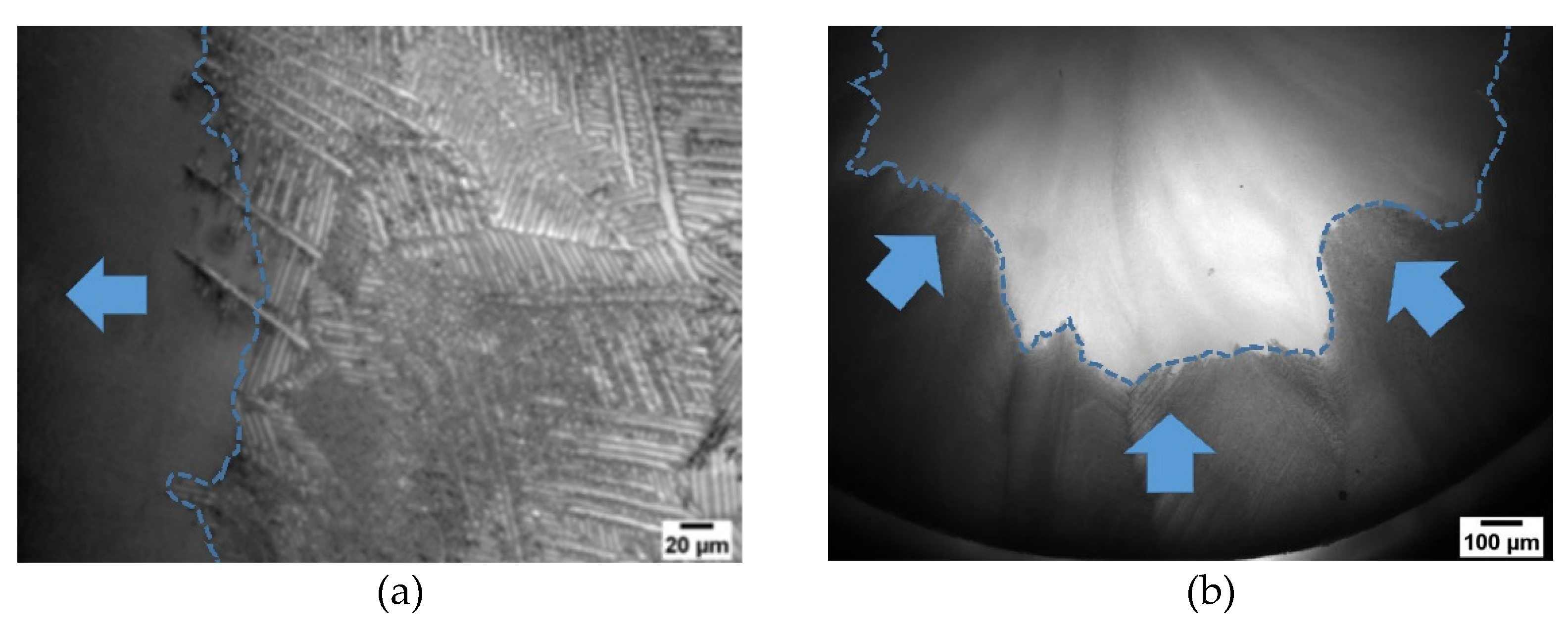 Pharmaceutics 14 02132 g012