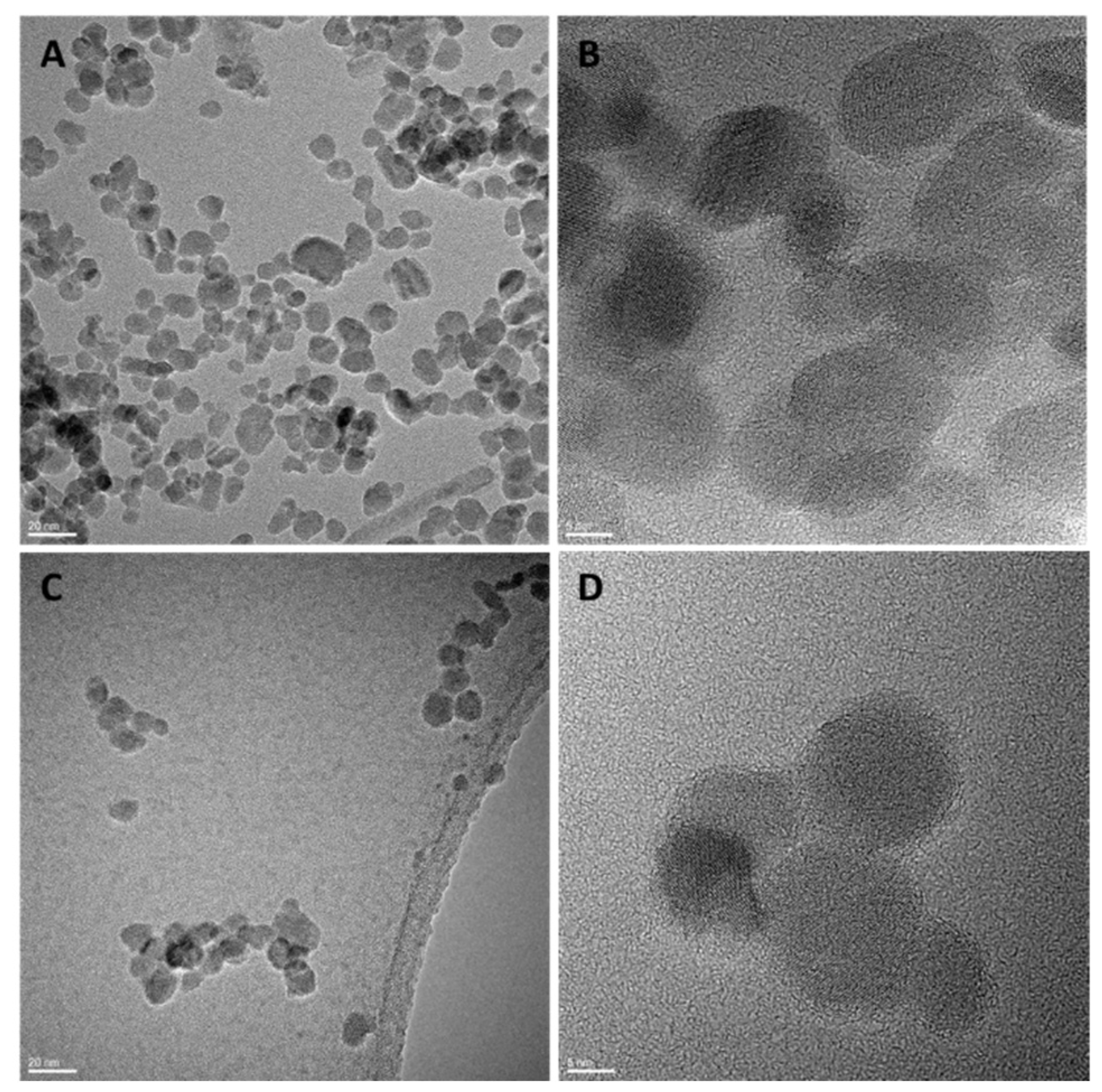 Pharmaceutics 14 02134 g002