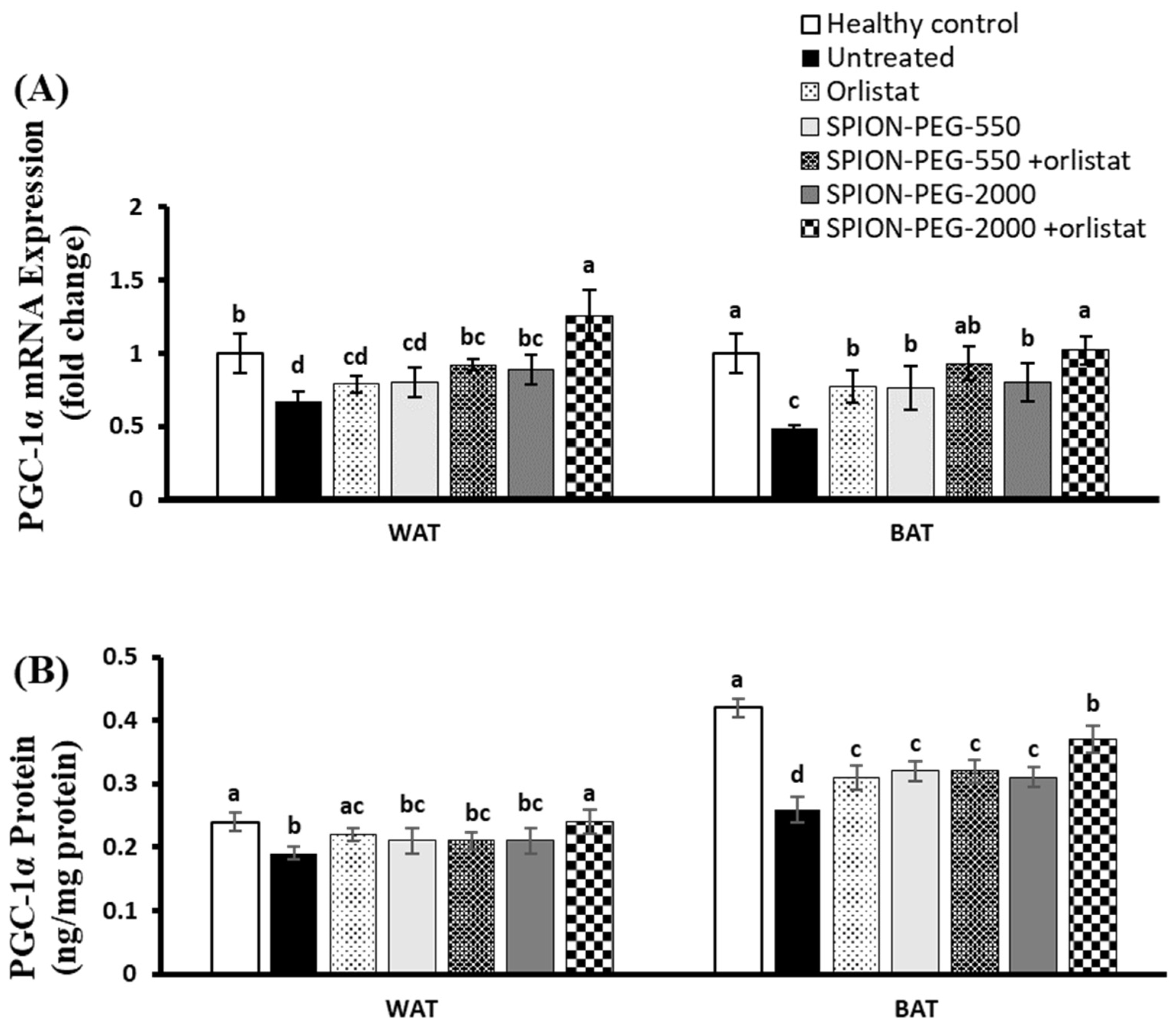 Pharmaceutics 14 02134 g006