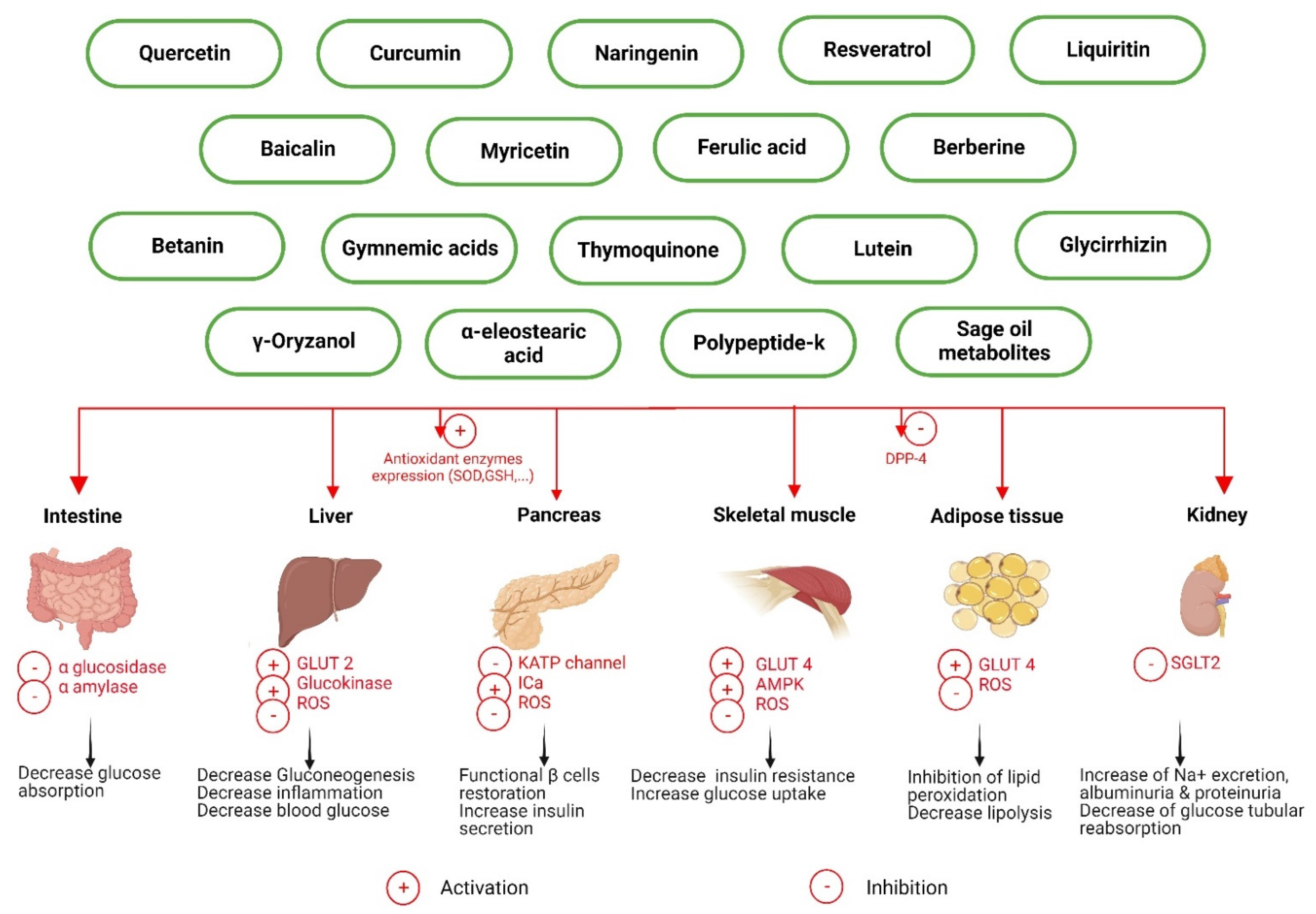Pharmaceutics 14 02135 g001