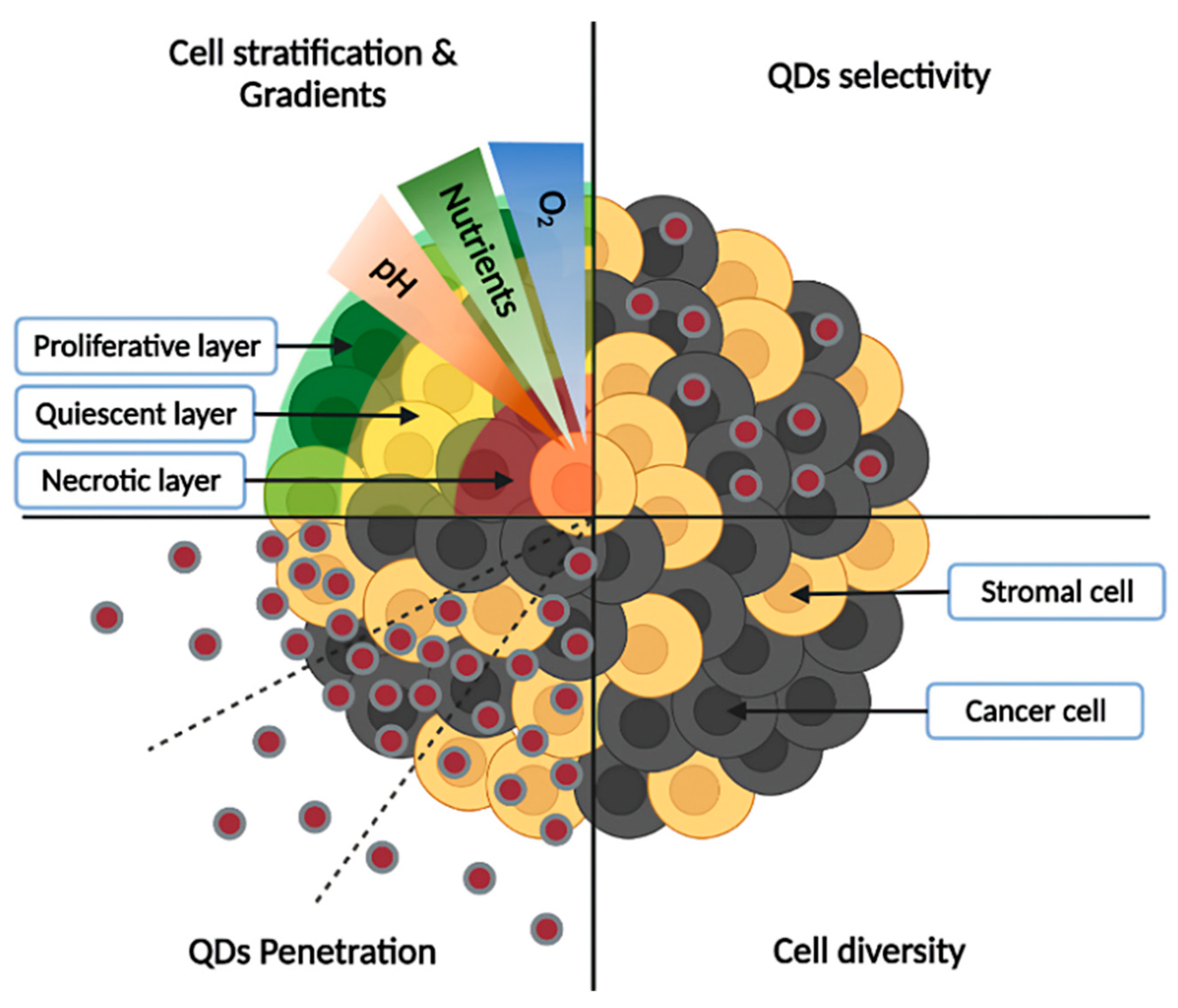 Pharmaceutics 14 02136 g003