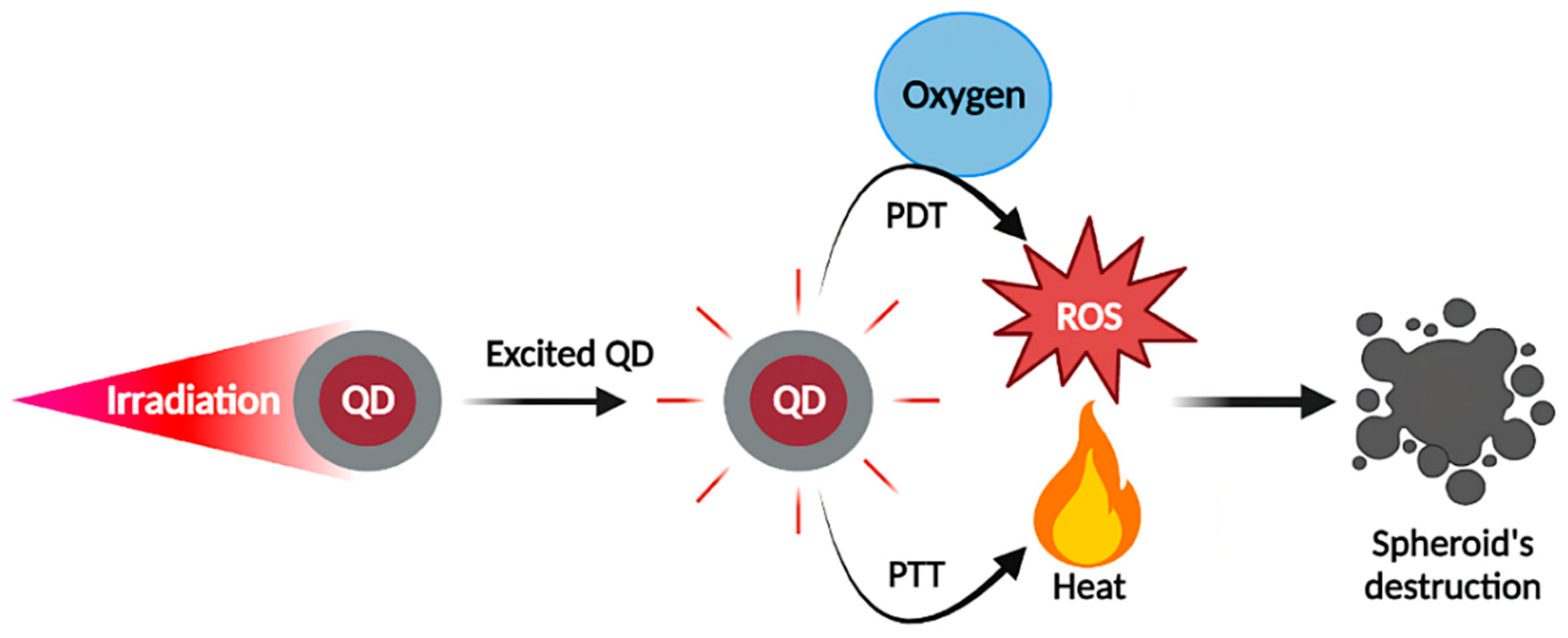 Pharmaceutics 14 02136 g004