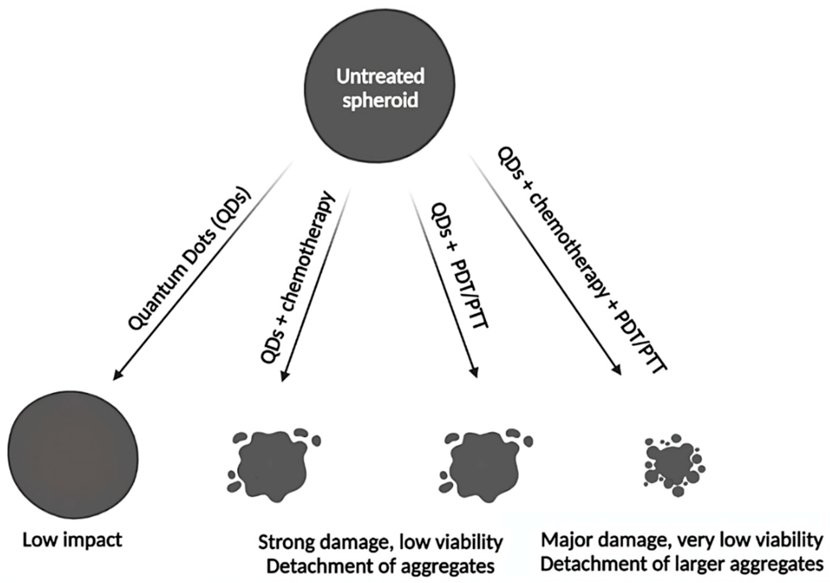 Pharmaceutics 14 02136 g005