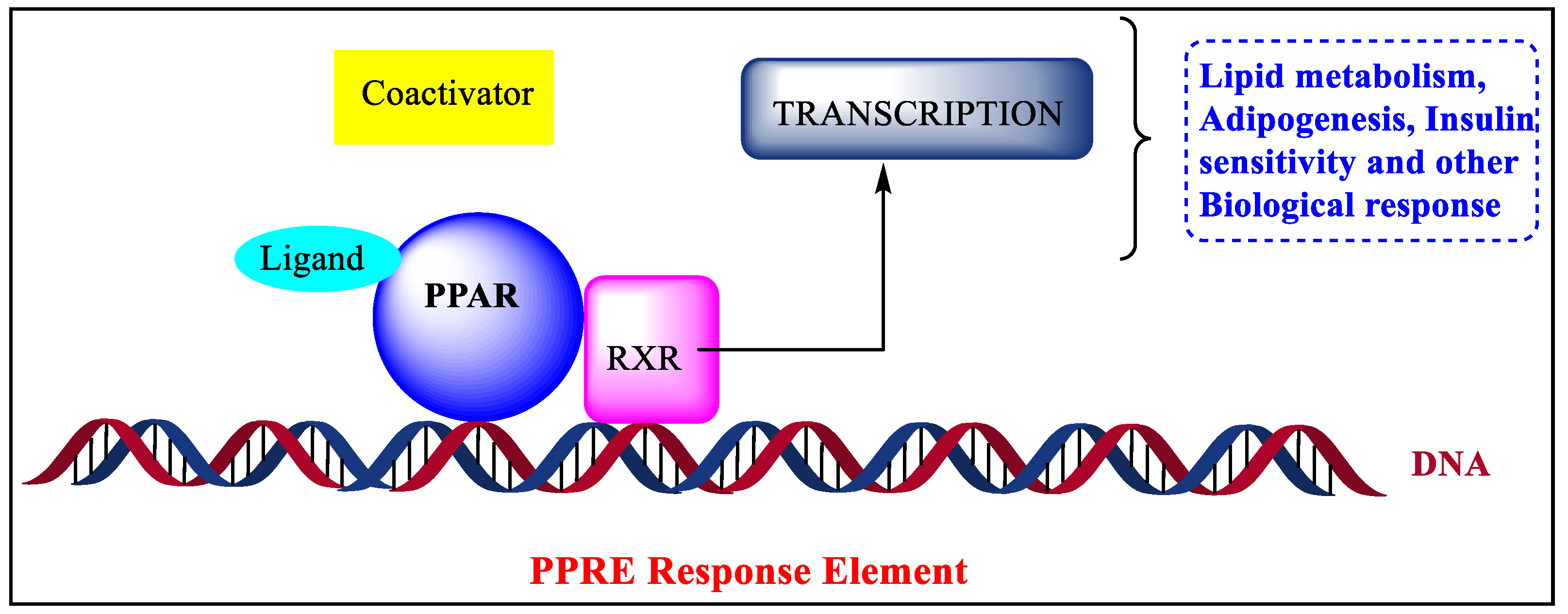 Pharmaceutics 14 02139 g001