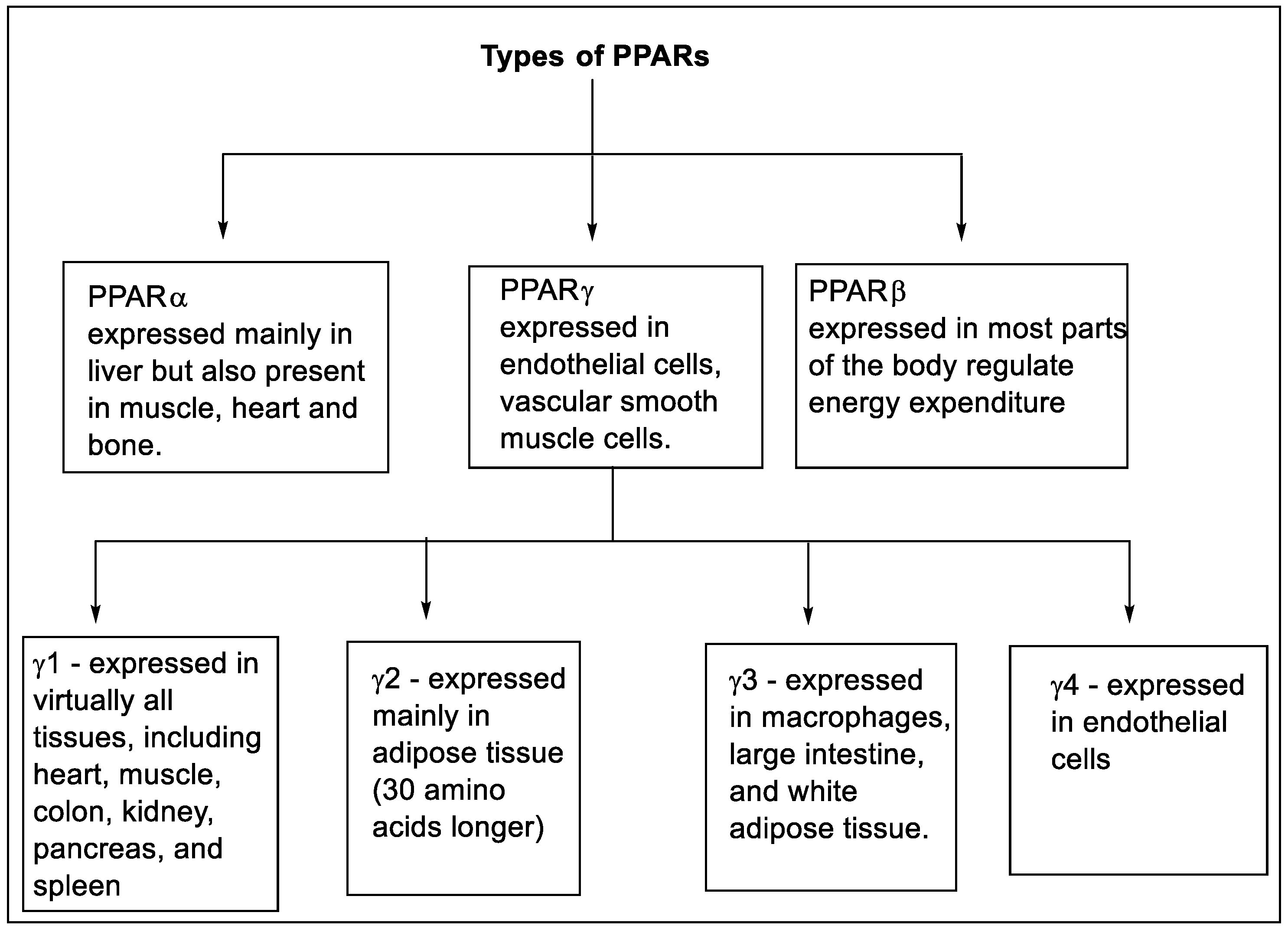 Pharmaceutics 14 02139 g003