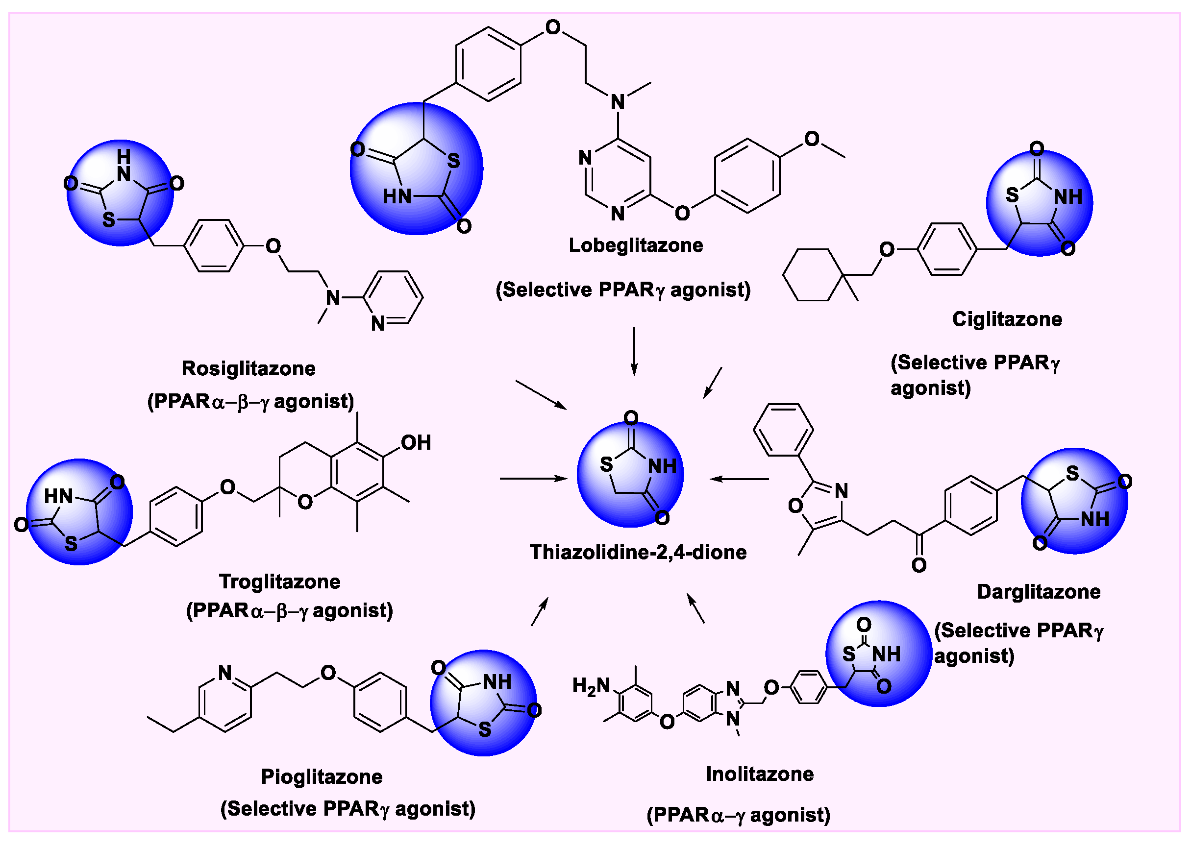 Pharmaceutics 14 02139 g005