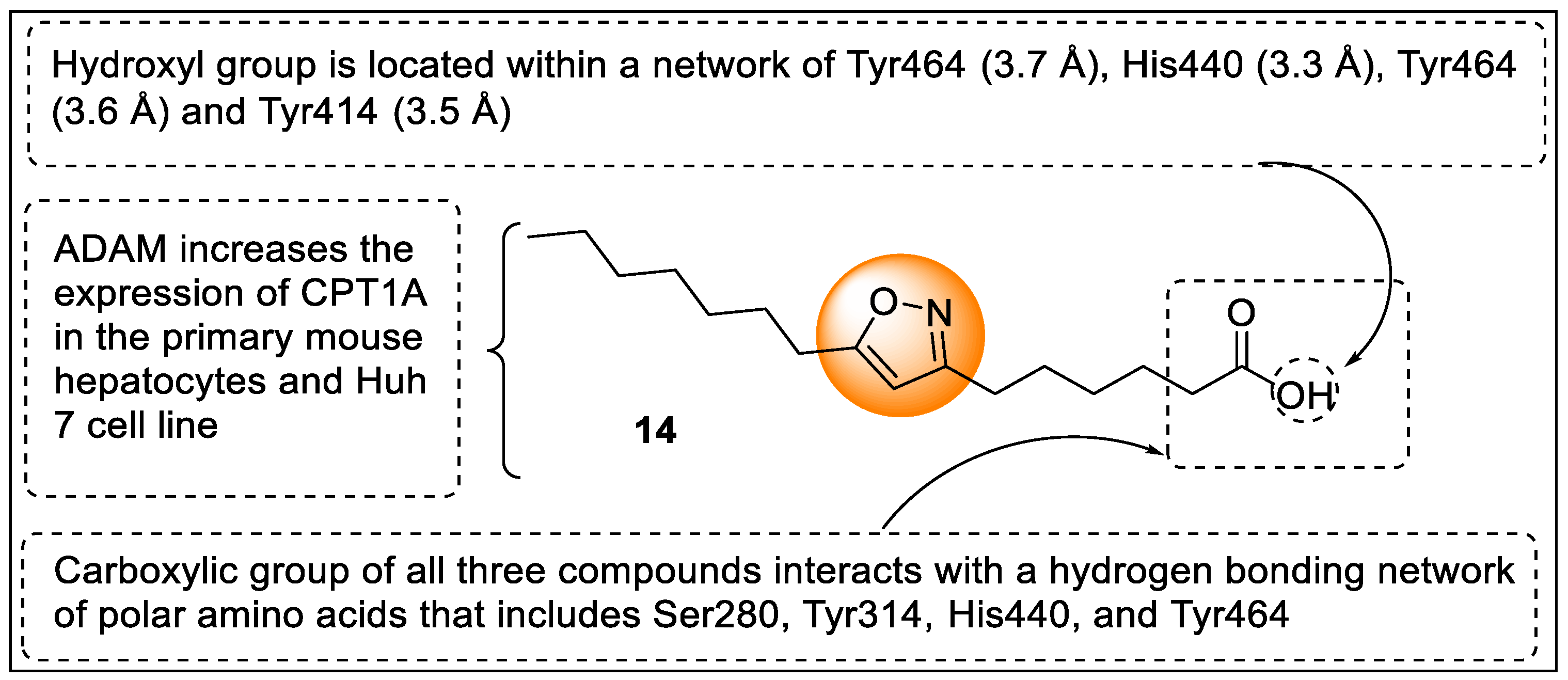 Pharmaceutics 14 02139 g017