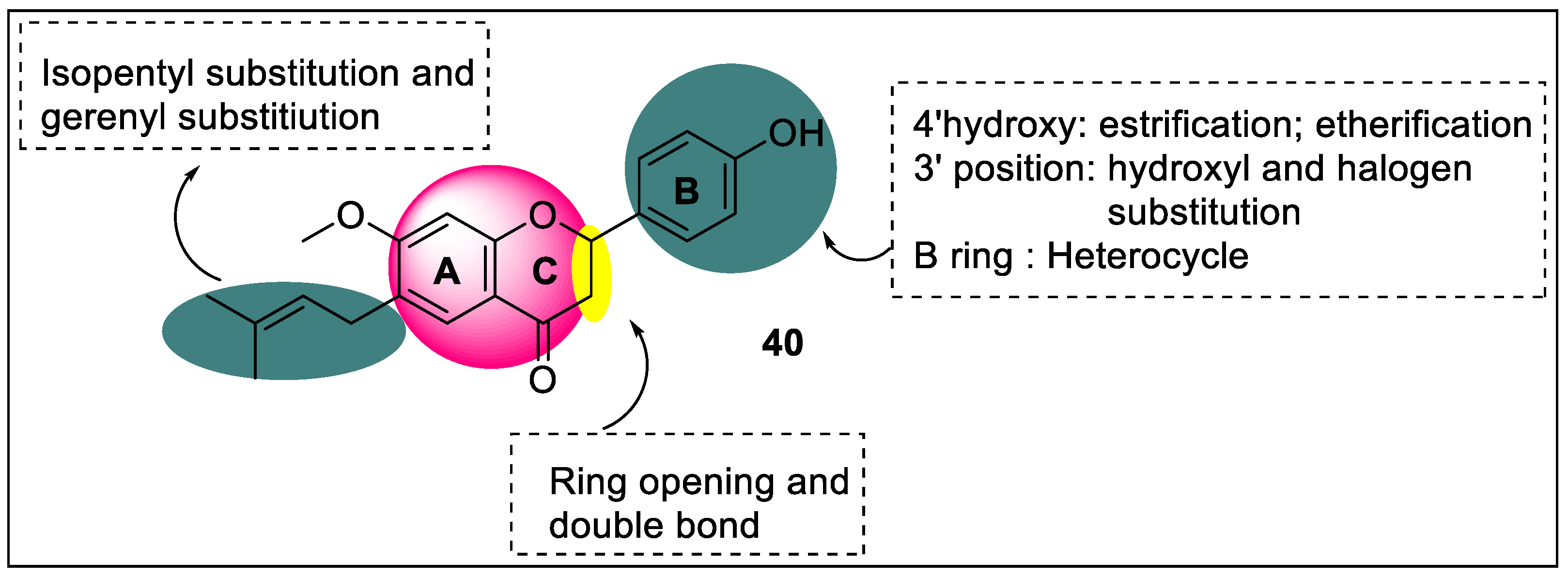 Pharmaceutics 14 02139 g044