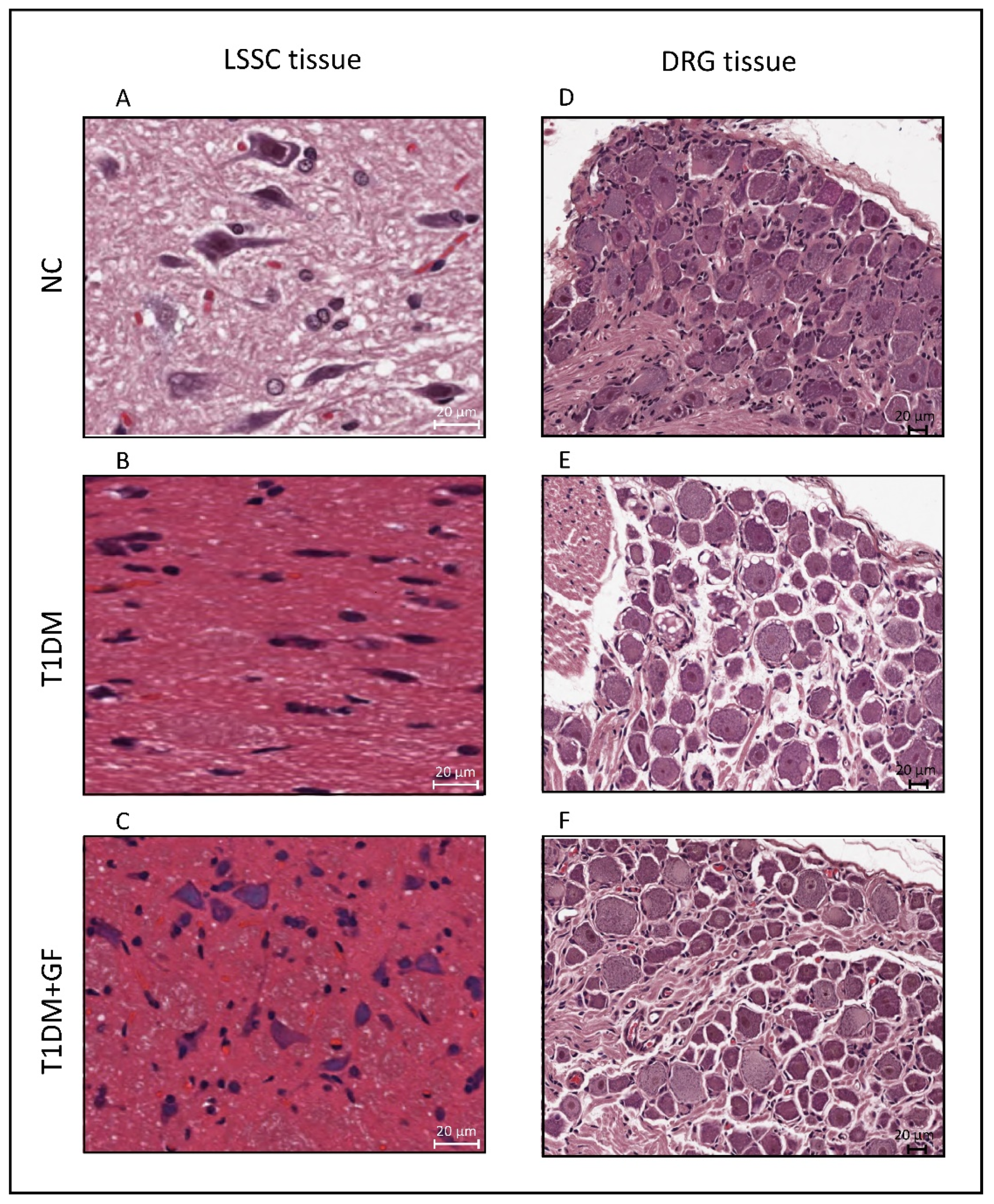 Pharmaceutics 14 02146 g004 Pharmaceutics 14 02146 g004