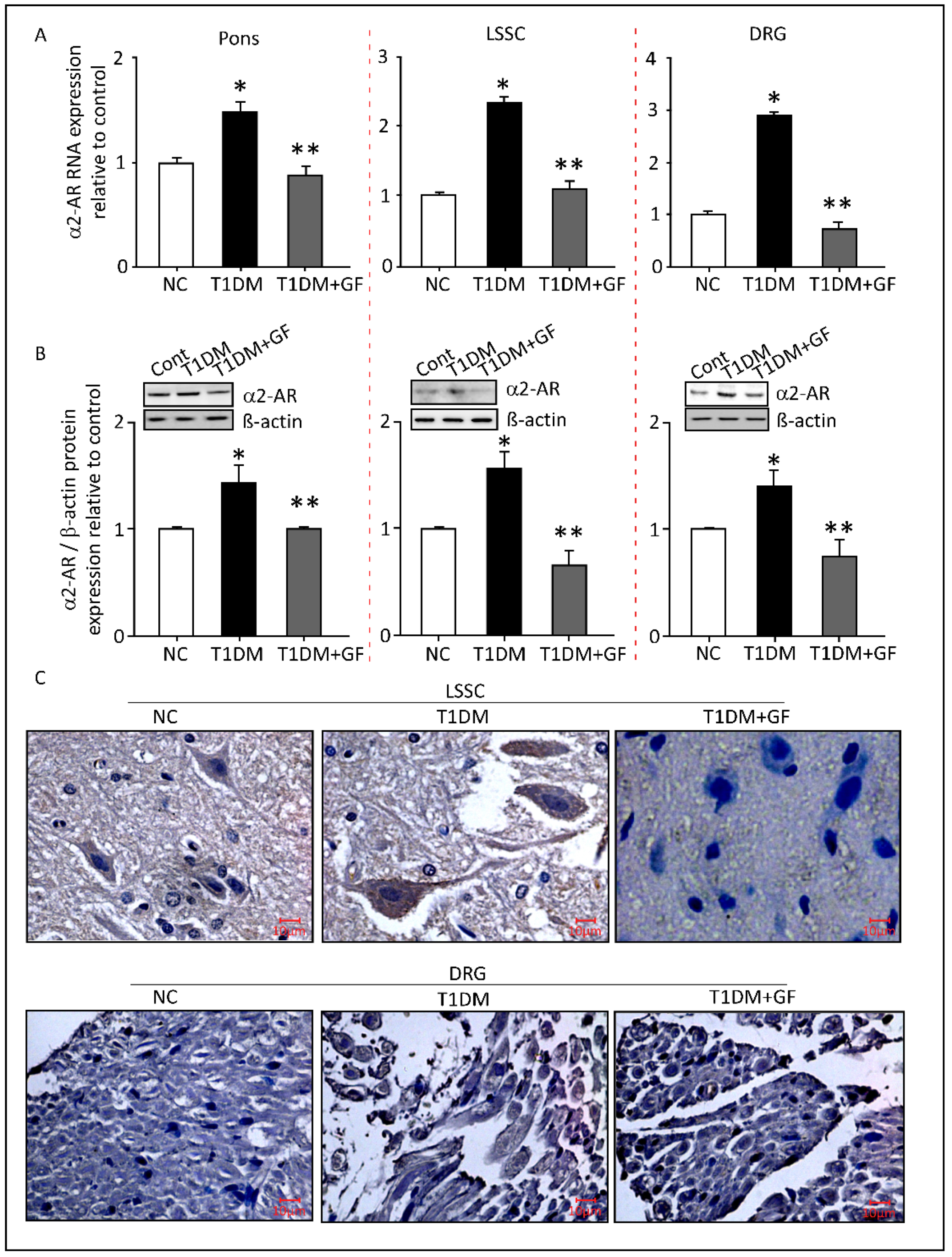 Pharmaceutics 14 02146 g005 Pharmaceutics 14 02146 g005