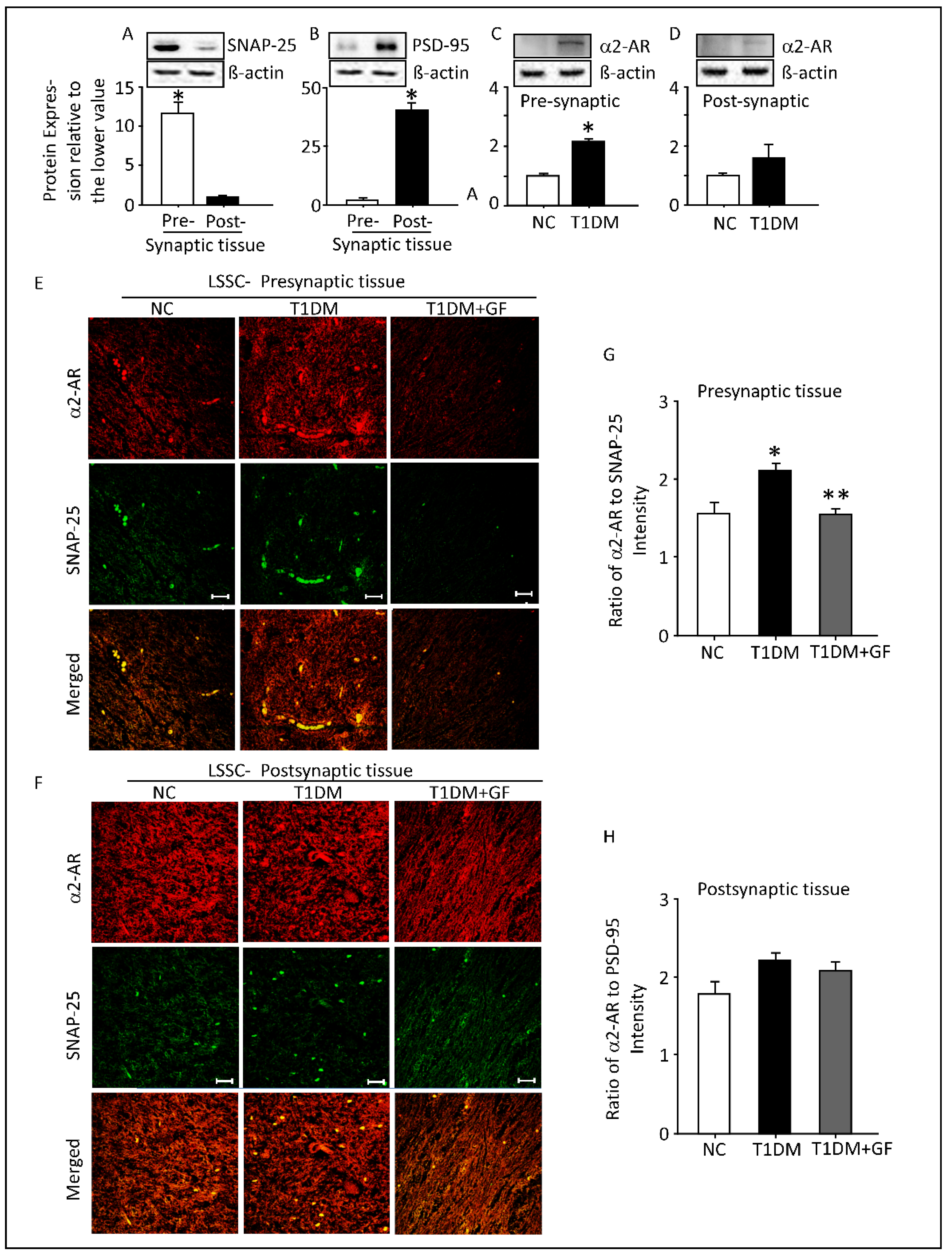 Pharmaceutics 14 02146 g006 Pharmaceutics 14 02146 g006