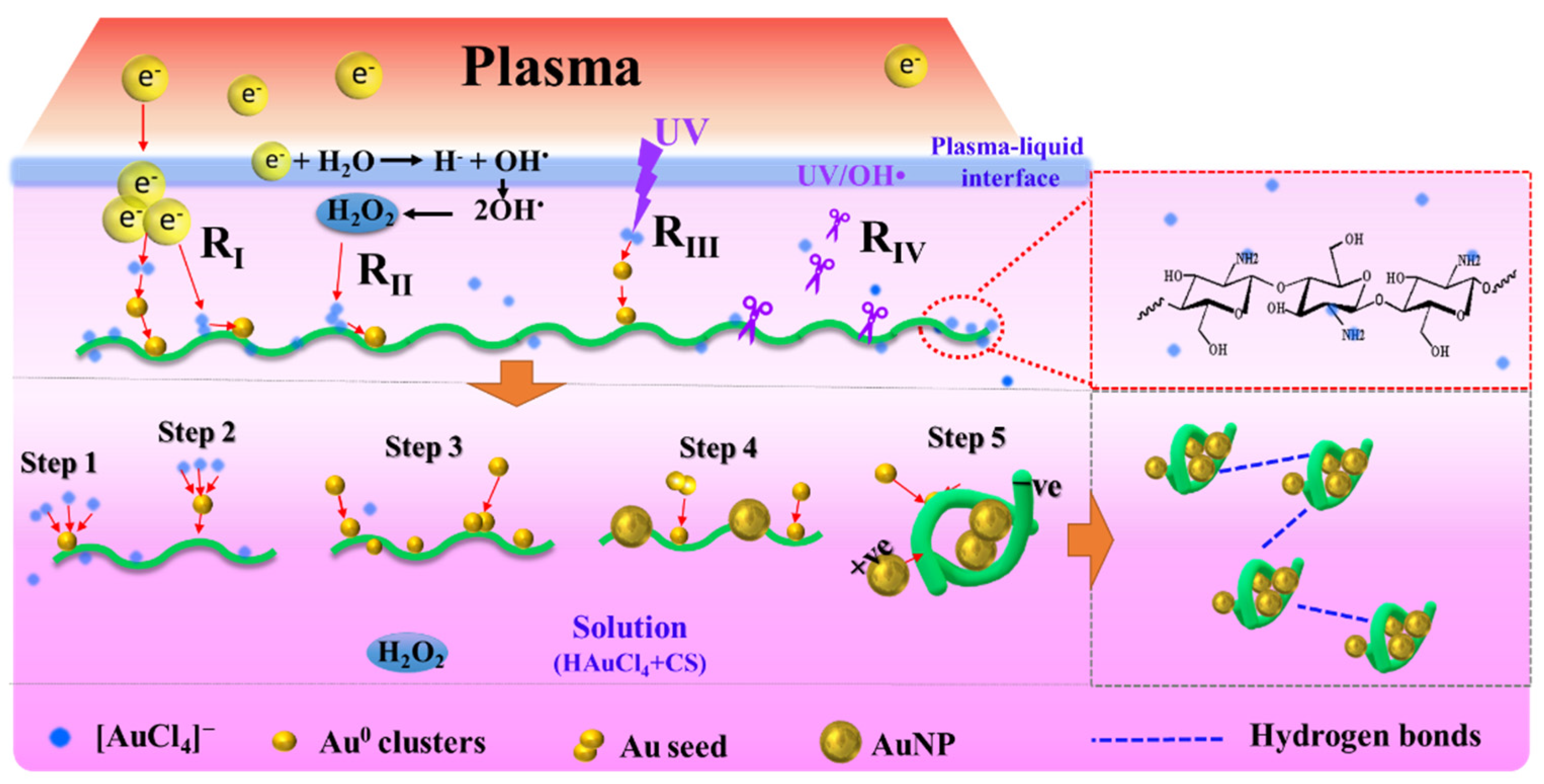 Pharmaceutics 14 02147 sch003 Pharmaceutics 14 02147 sch003
