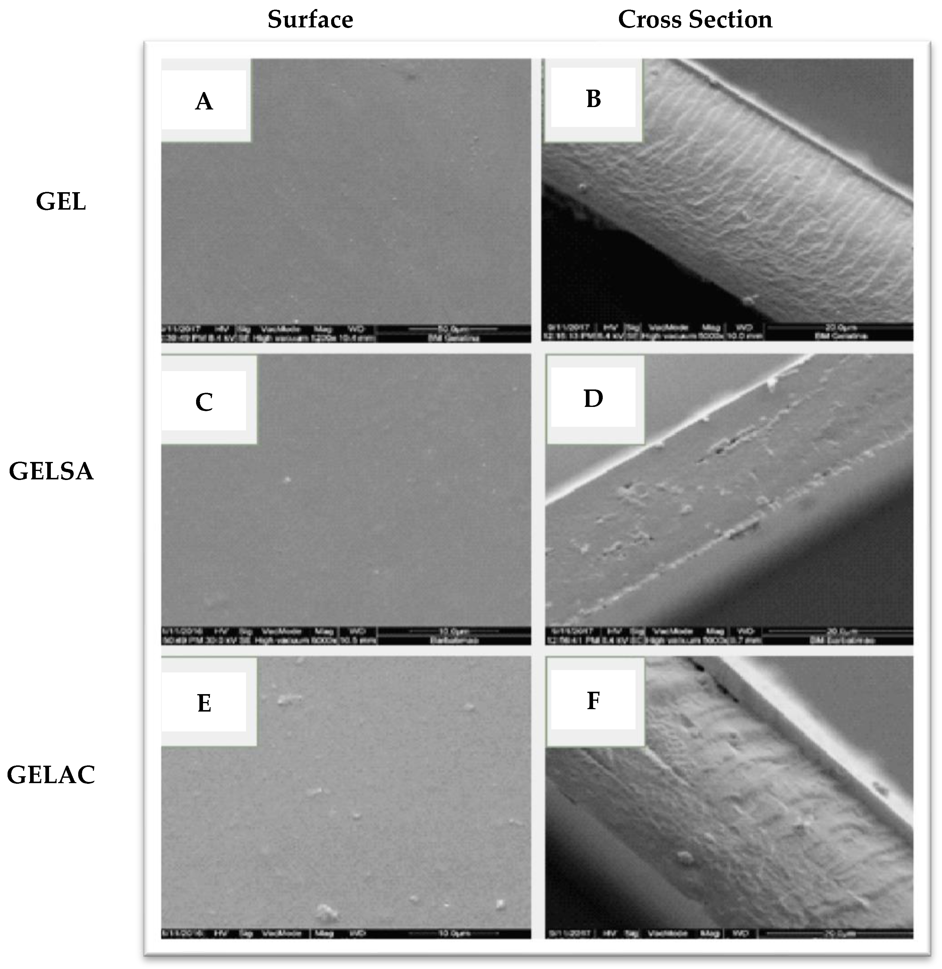 Pharmaceutics 14 02150 g006