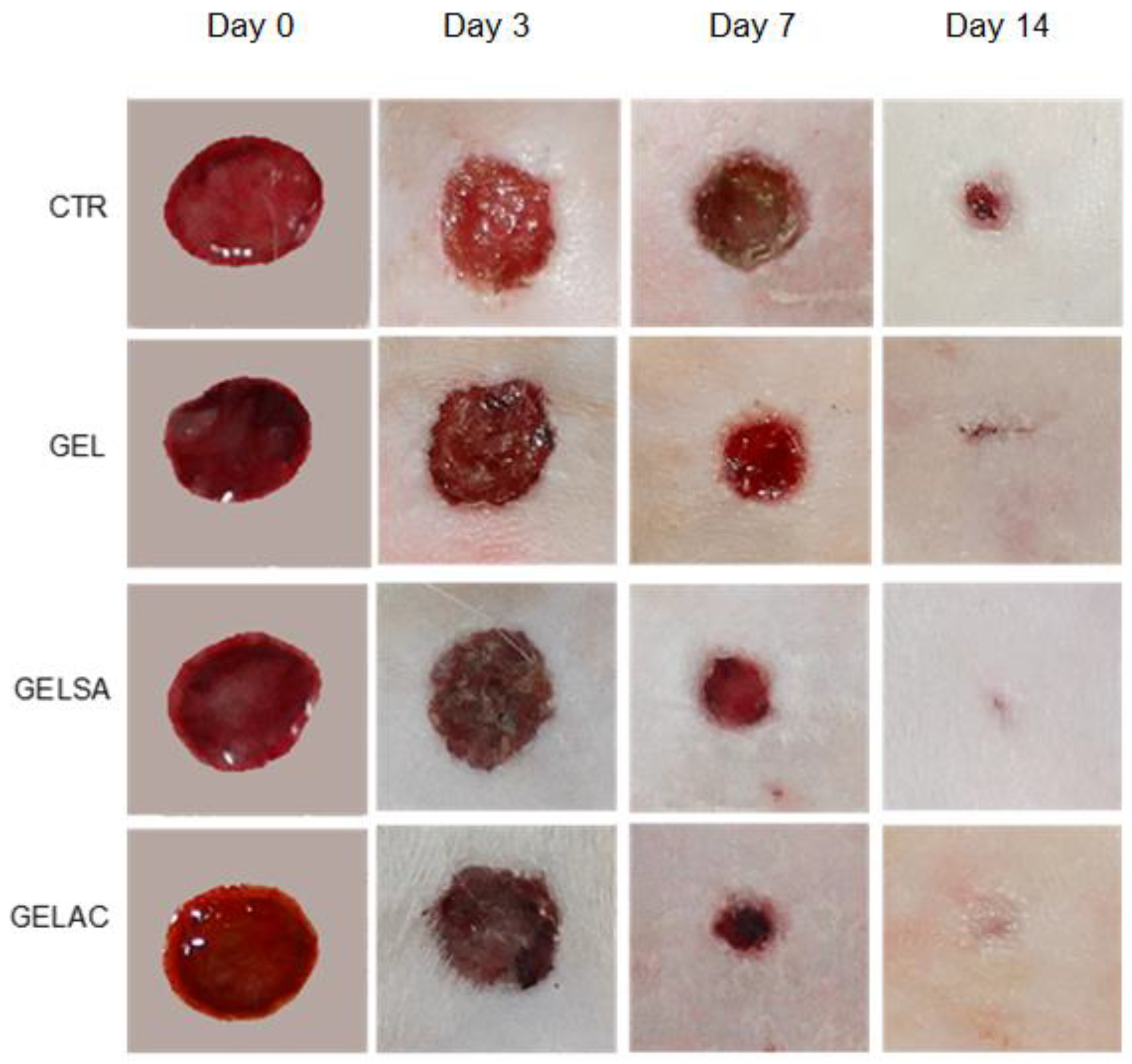 Pharmaceutics 14 02150 g009