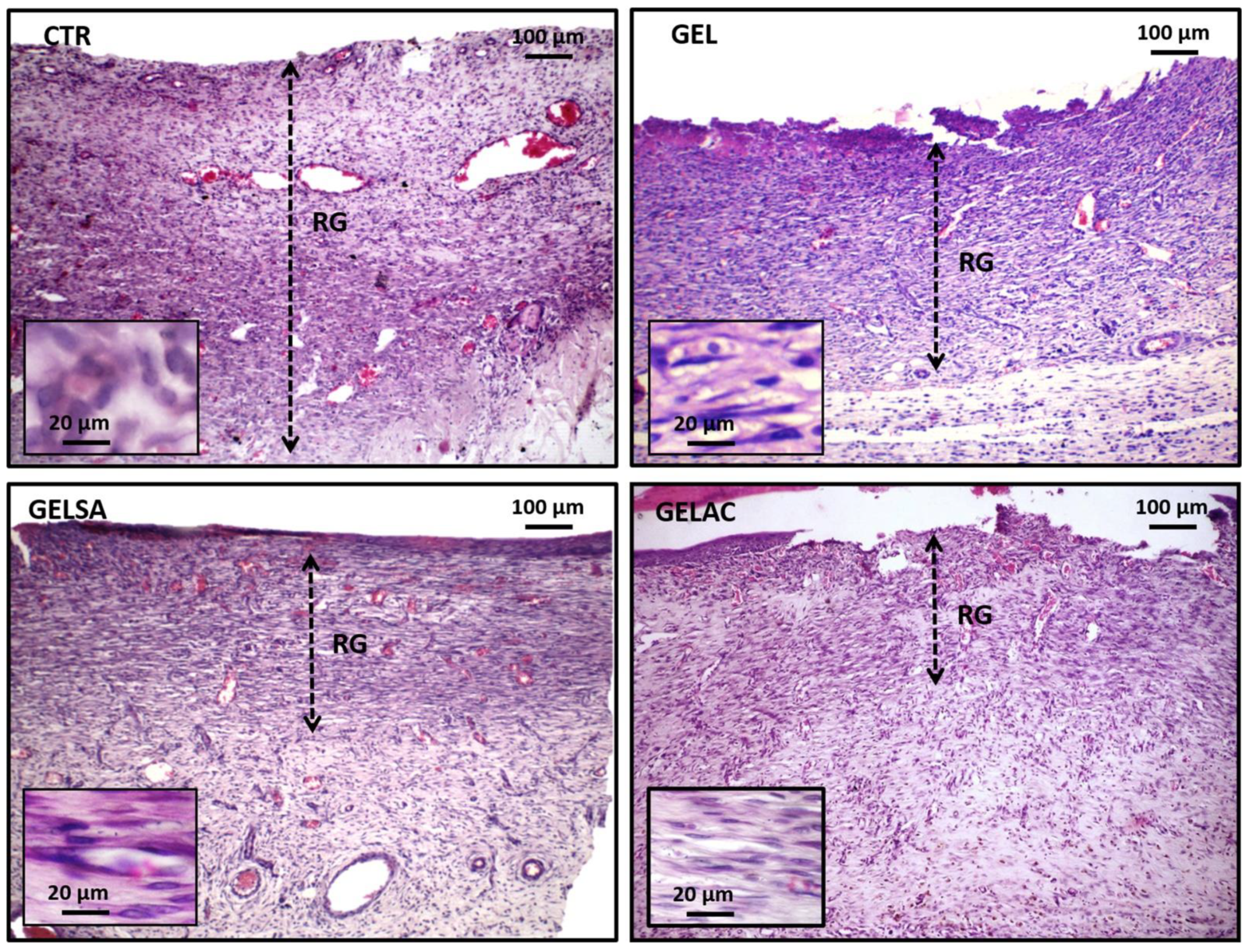 Pharmaceutics 14 02150 g012