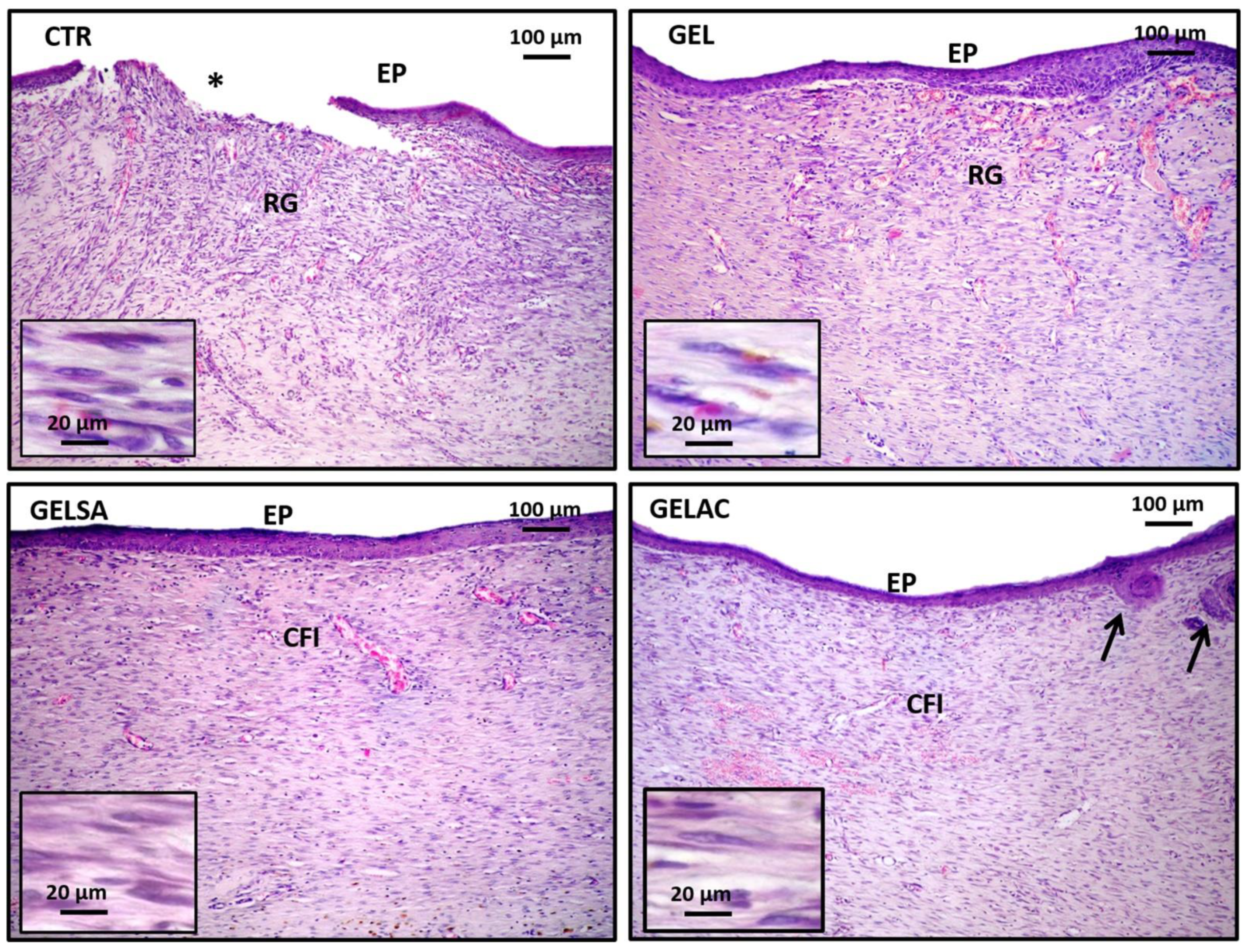 Pharmaceutics 14 02150 g013