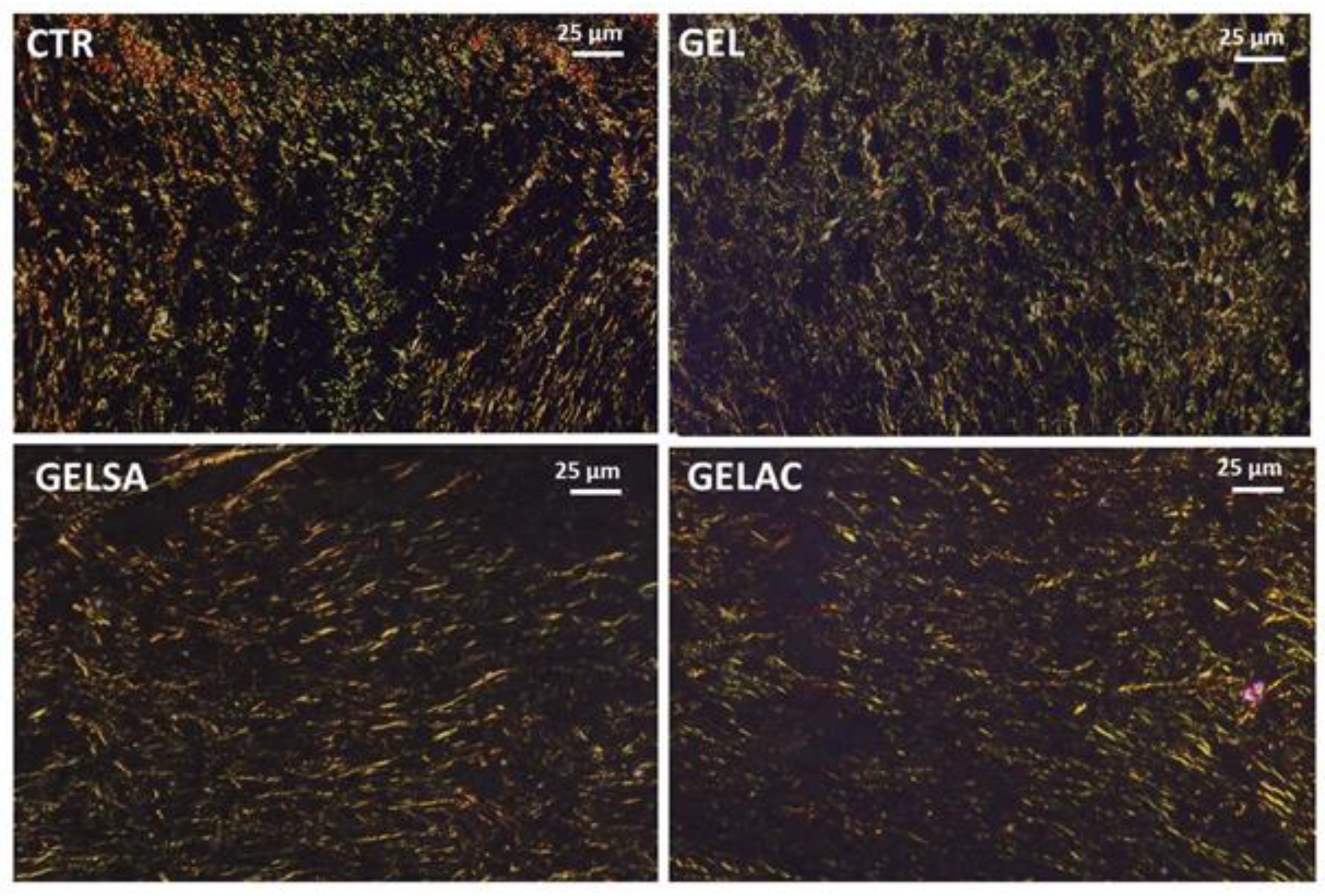 Pharmaceutics 14 02150 g016