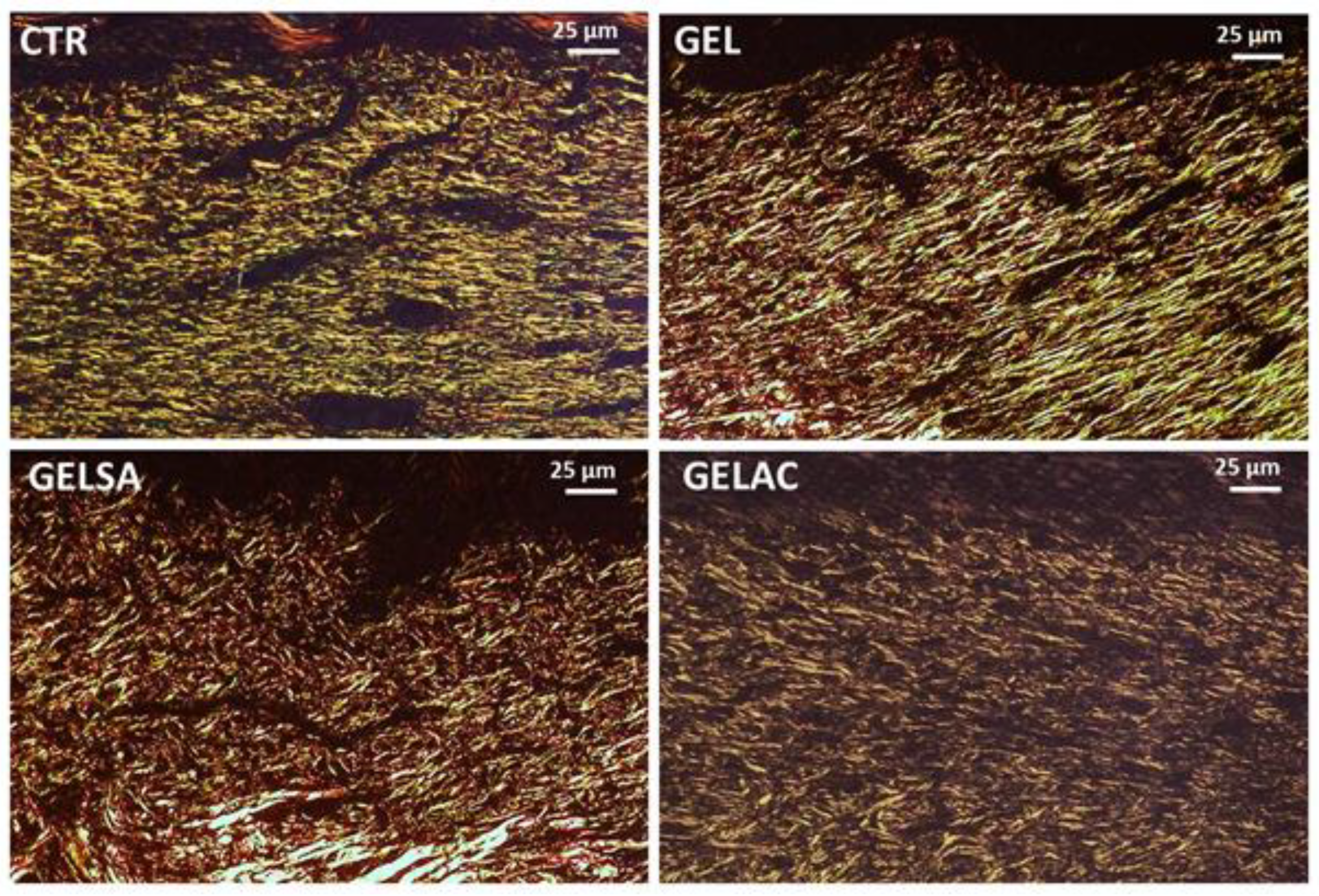 Pharmaceutics 14 02150 g017