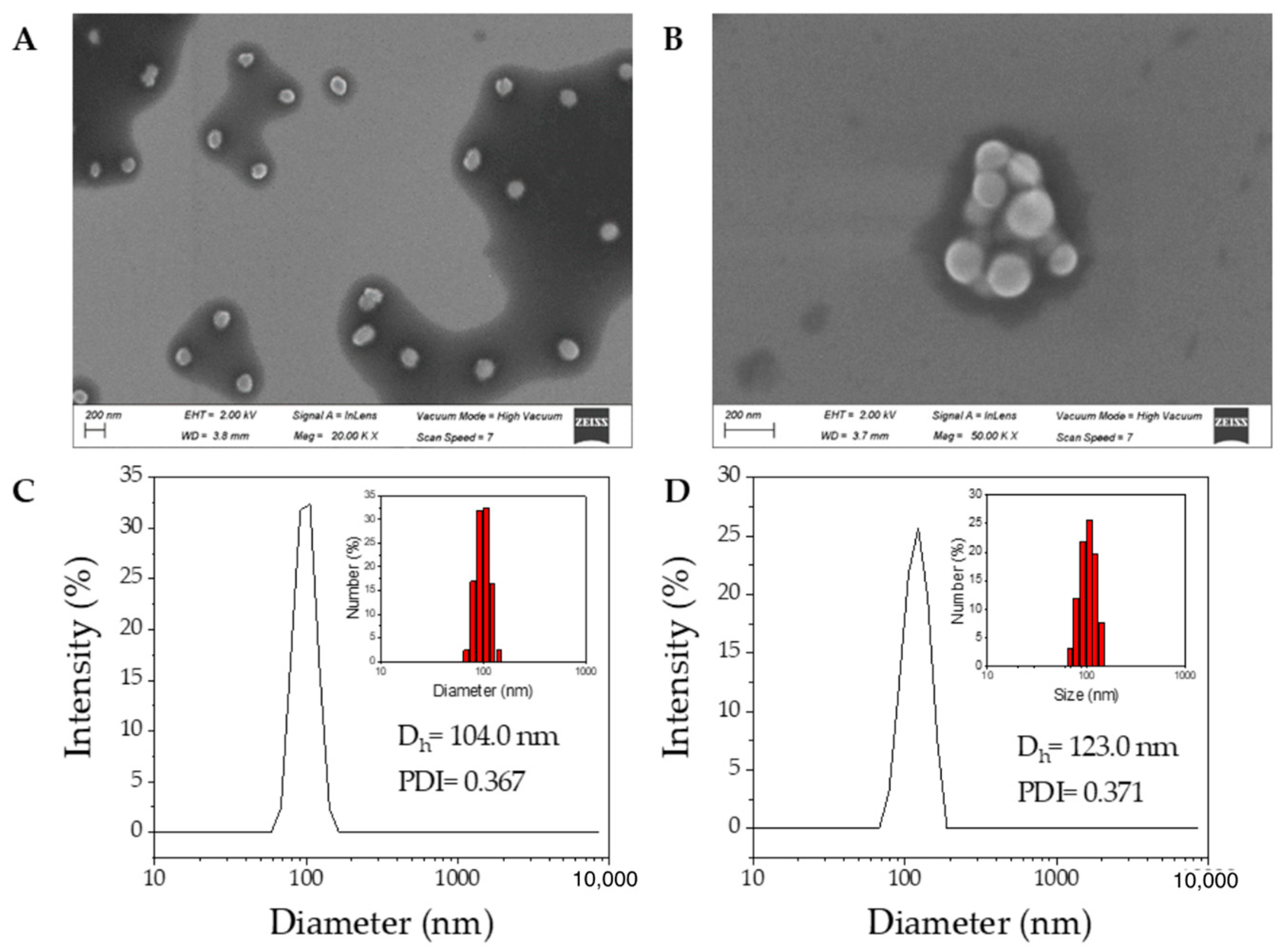 Pharmaceutics 14 02152 g002