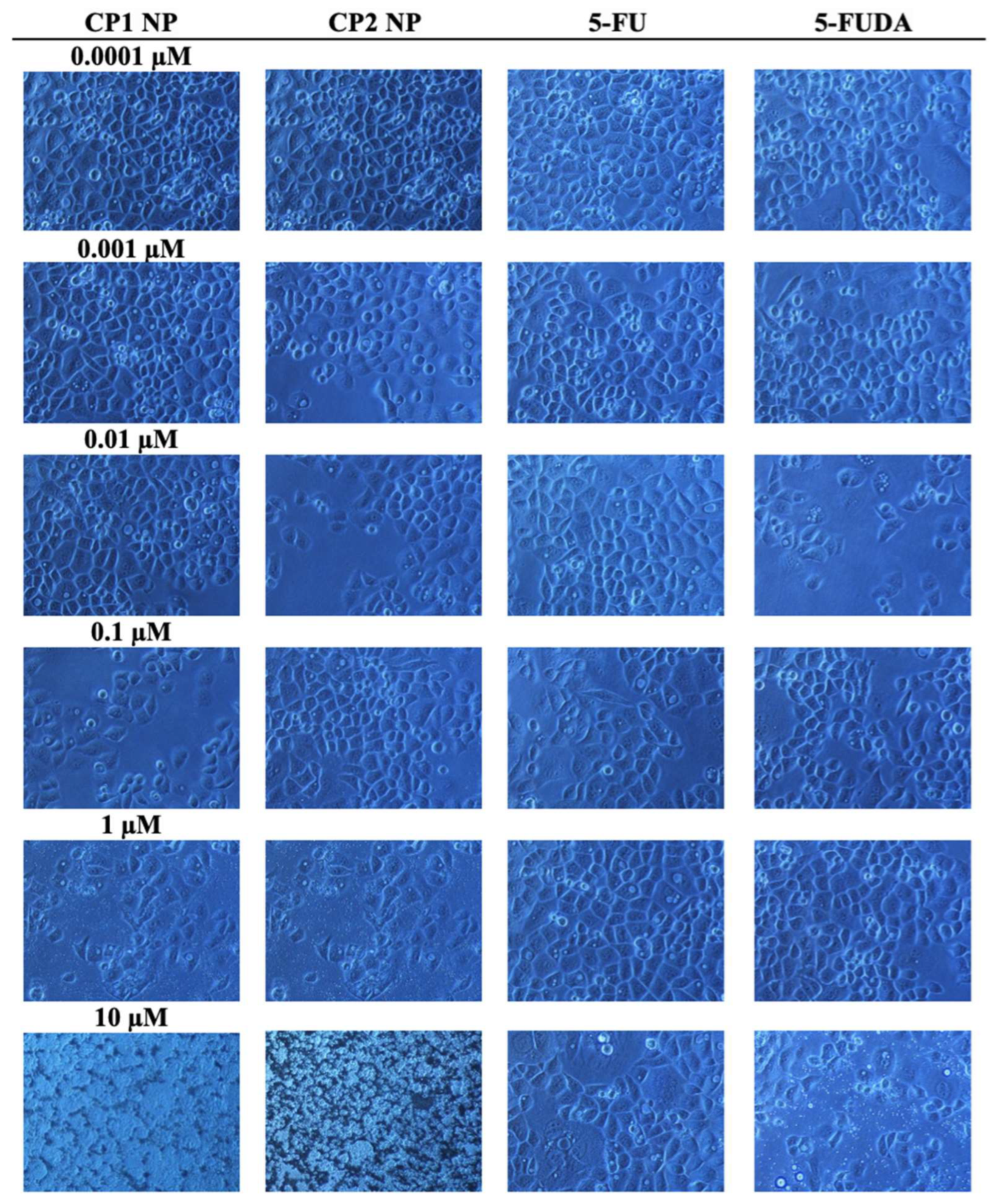 Pharmaceutics 14 02152 g004