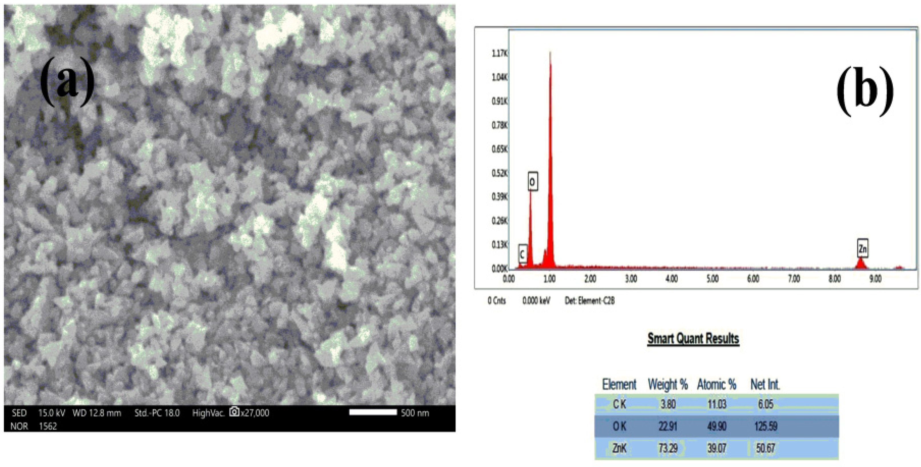 Pharmaceutics 14 02155 g004