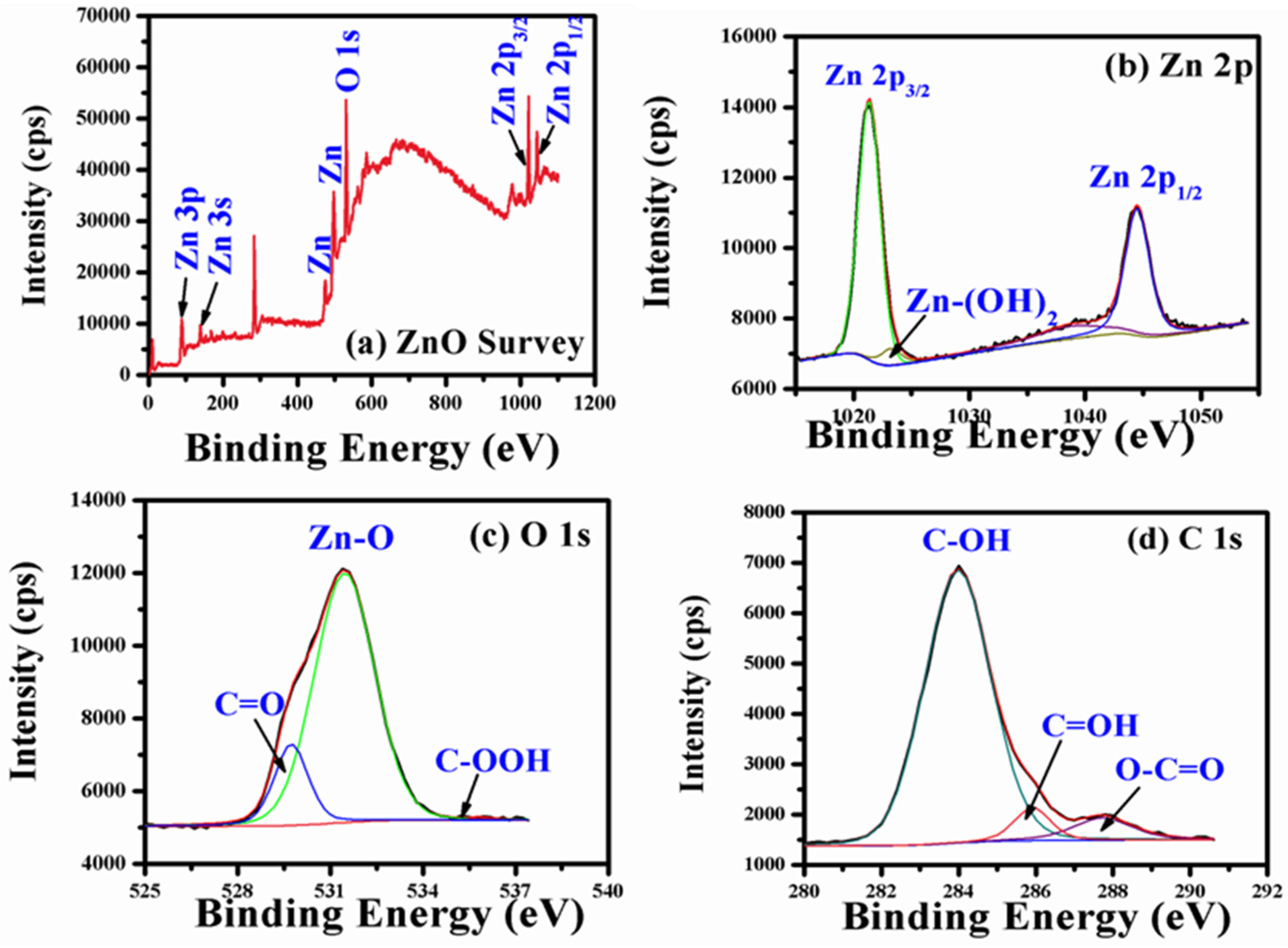 Pharmaceutics 14 02155 g007