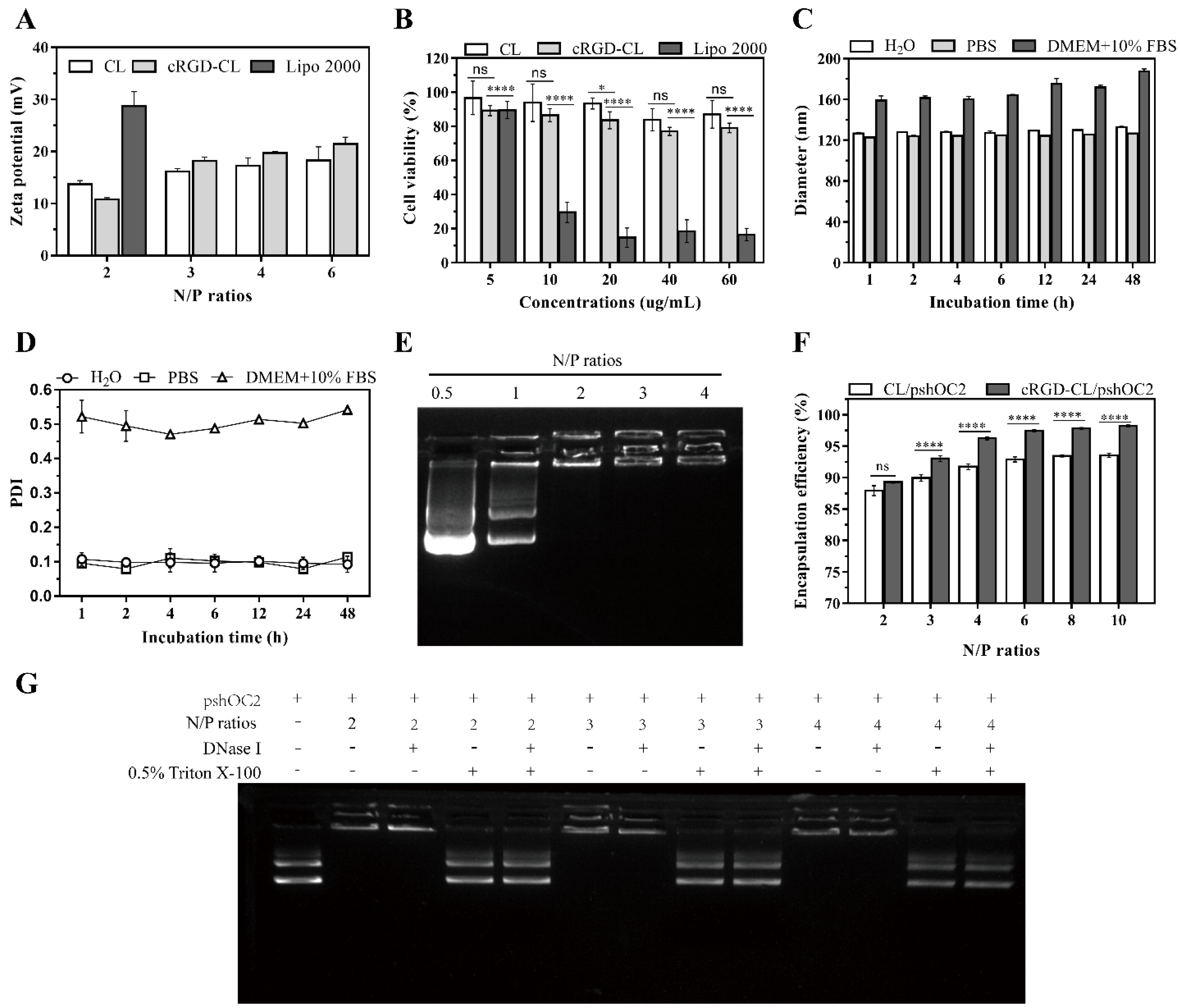 Pharmaceutics 14 02157 g002 Pharmaceutics 14 02157 g002