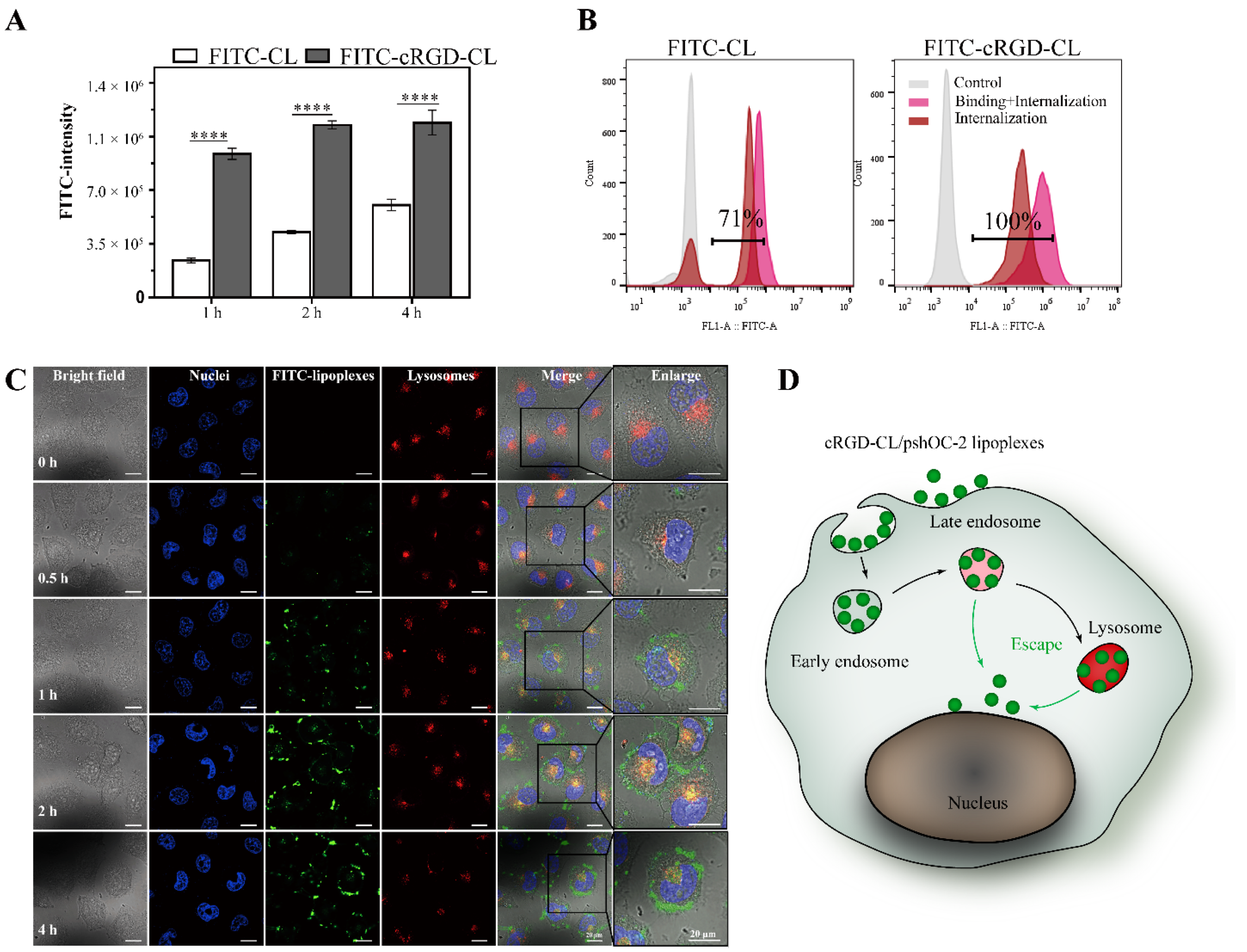 Pharmaceutics 14 02157 g003 Pharmaceutics 14 02157 g003
