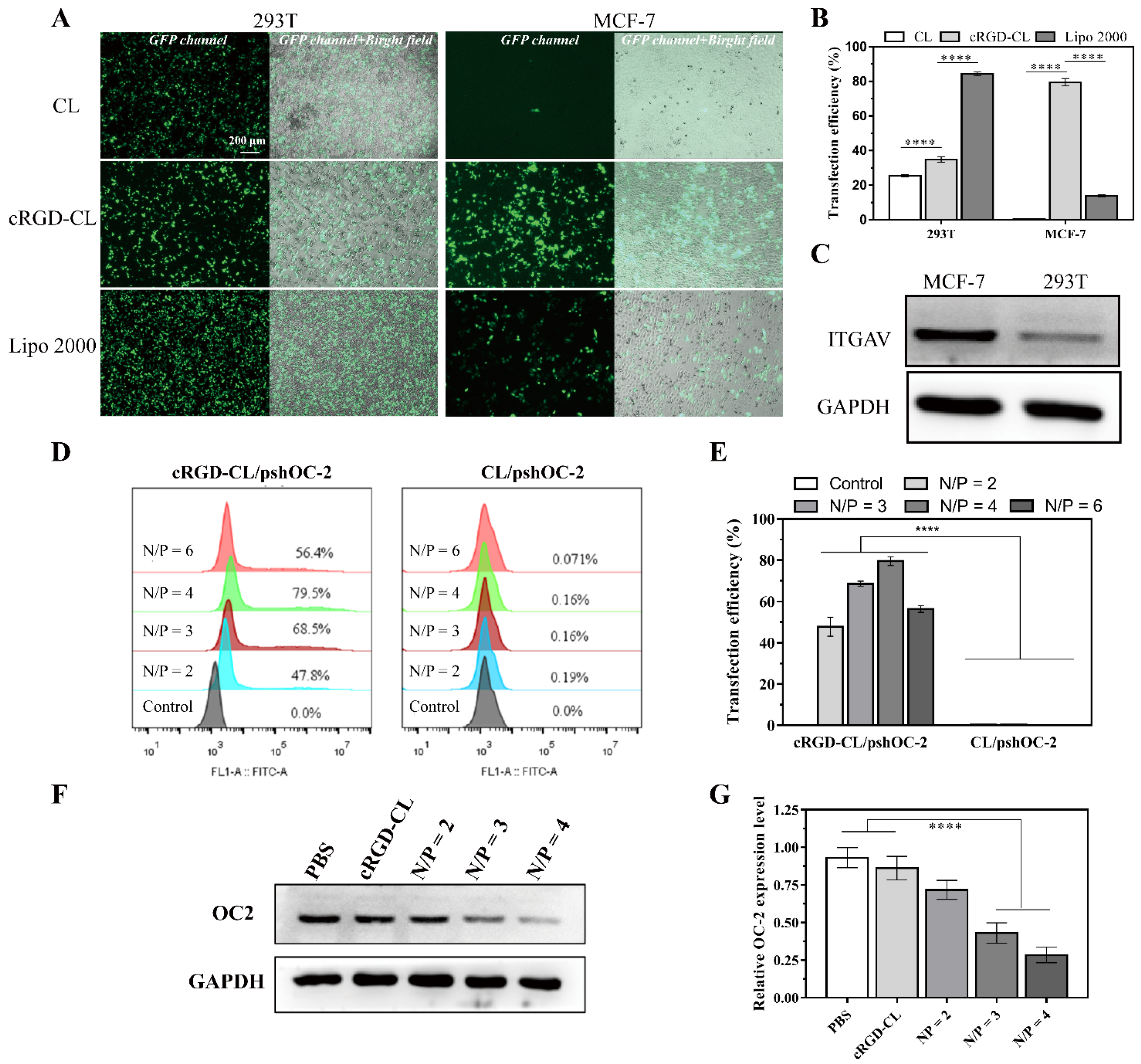 Pharmaceutics 14 02157 g004 Pharmaceutics 14 02157 g004