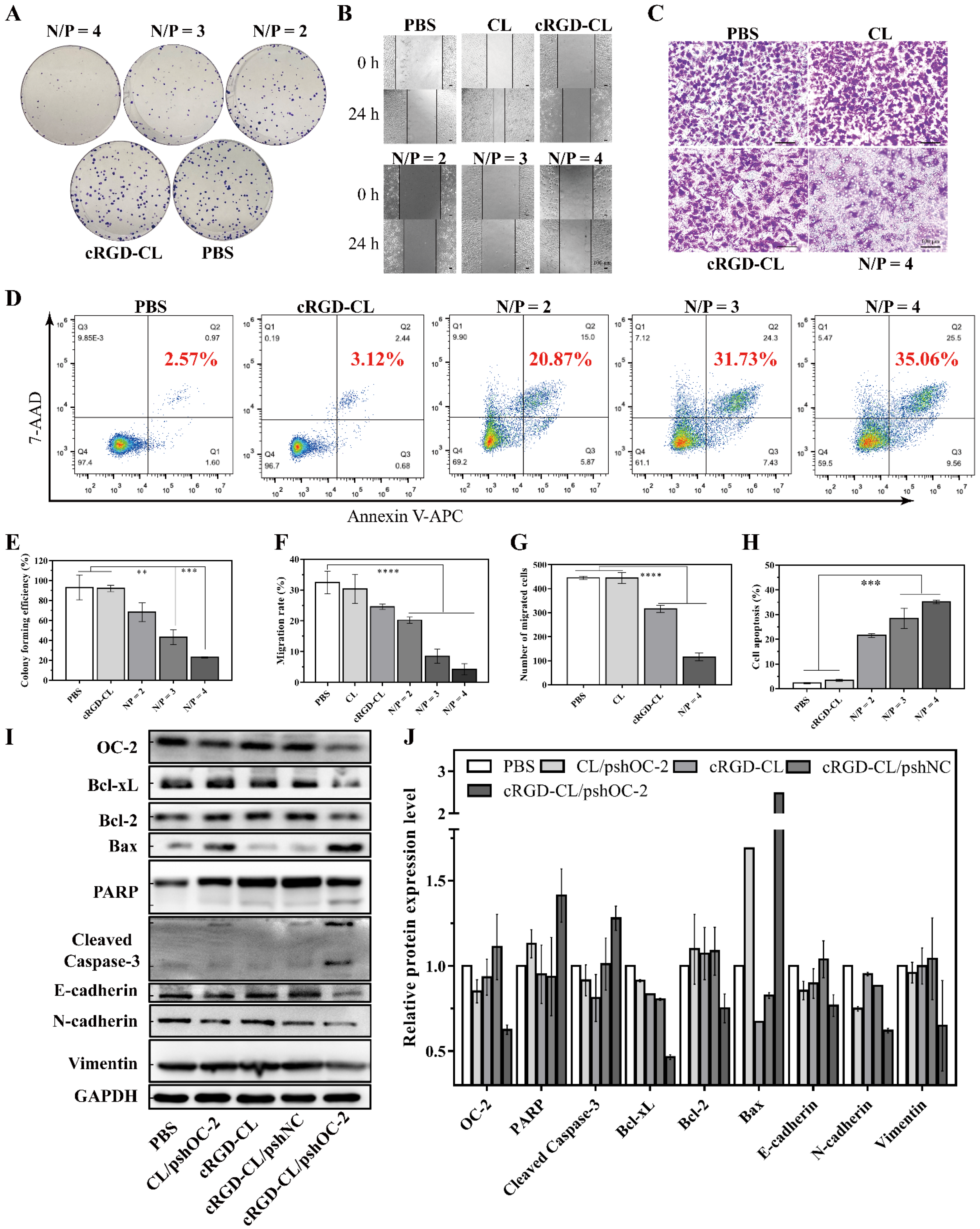 Pharmaceutics 14 02157 g005 Pharmaceutics 14 02157 g005