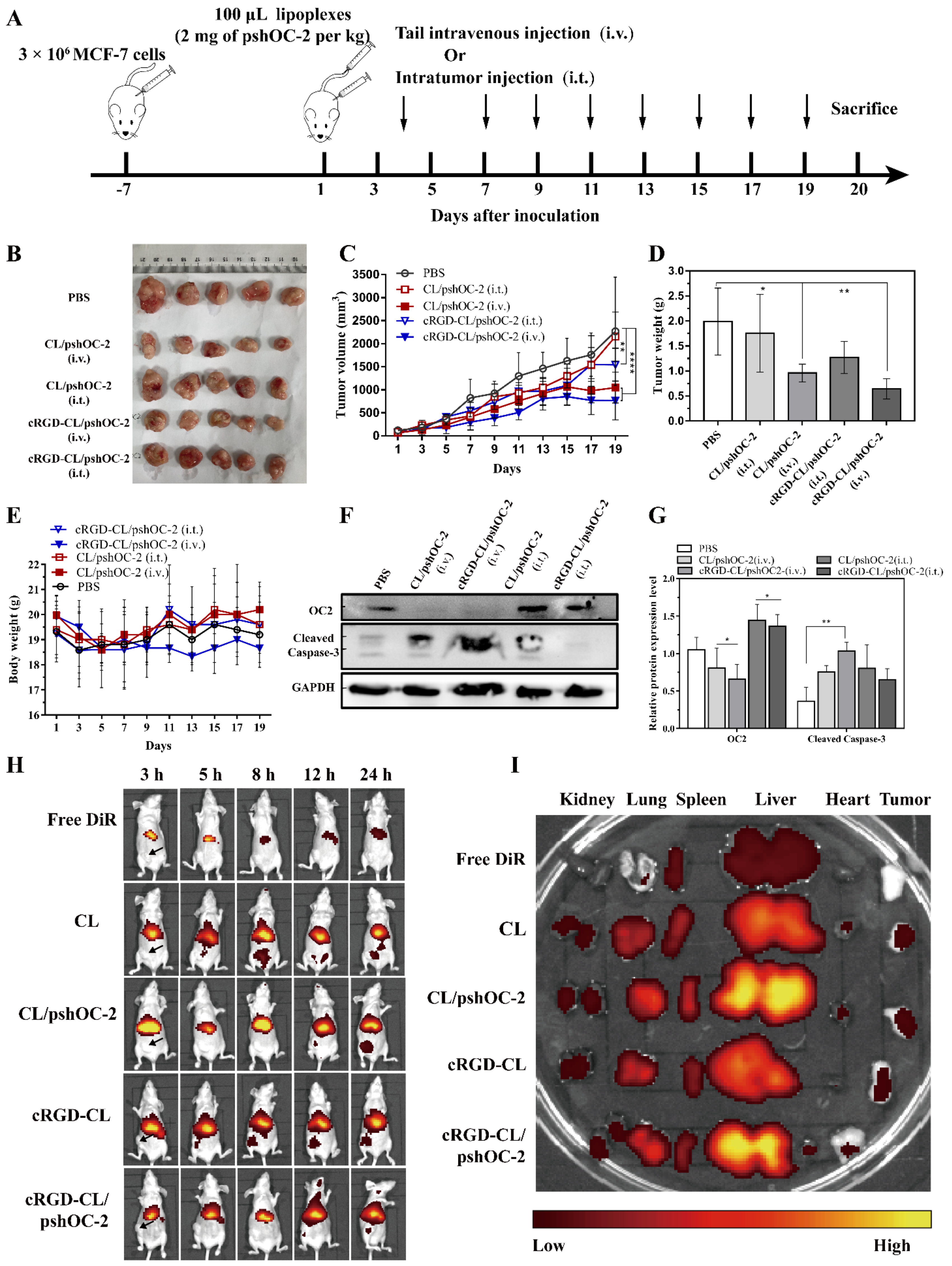 Pharmaceutics 14 02157 g006 Pharmaceutics 14 02157 g006