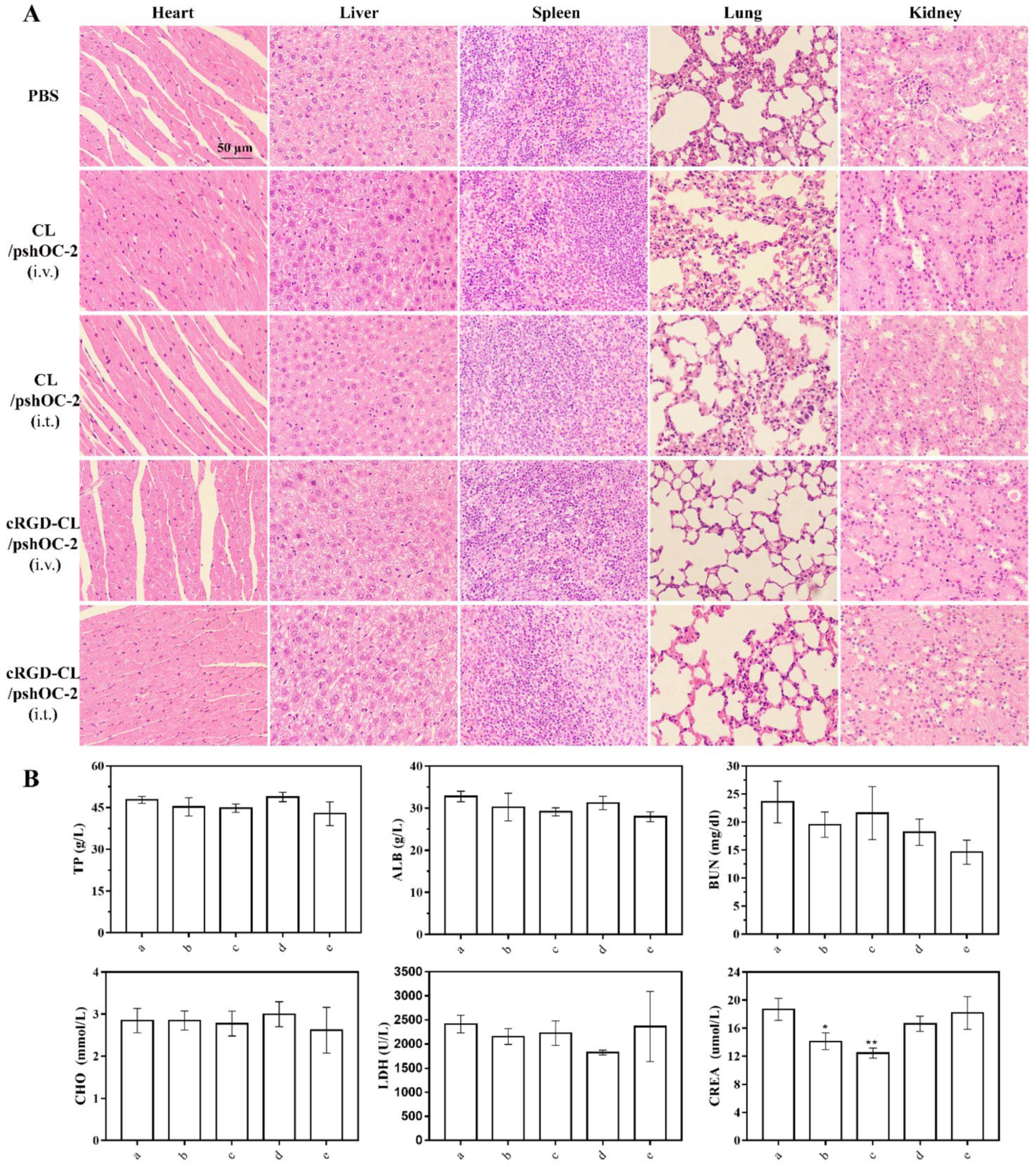 Pharmaceutics 14 02157 g008 Pharmaceutics 14 02157 g008
