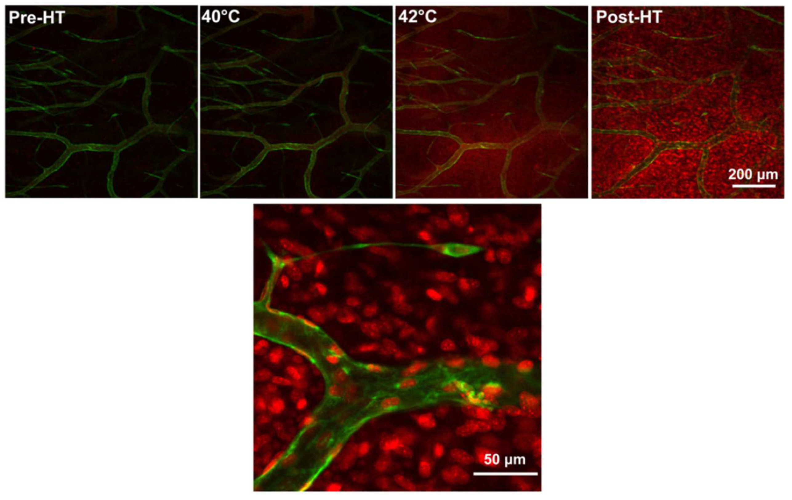 Pharmaceutics 14 02165 g005