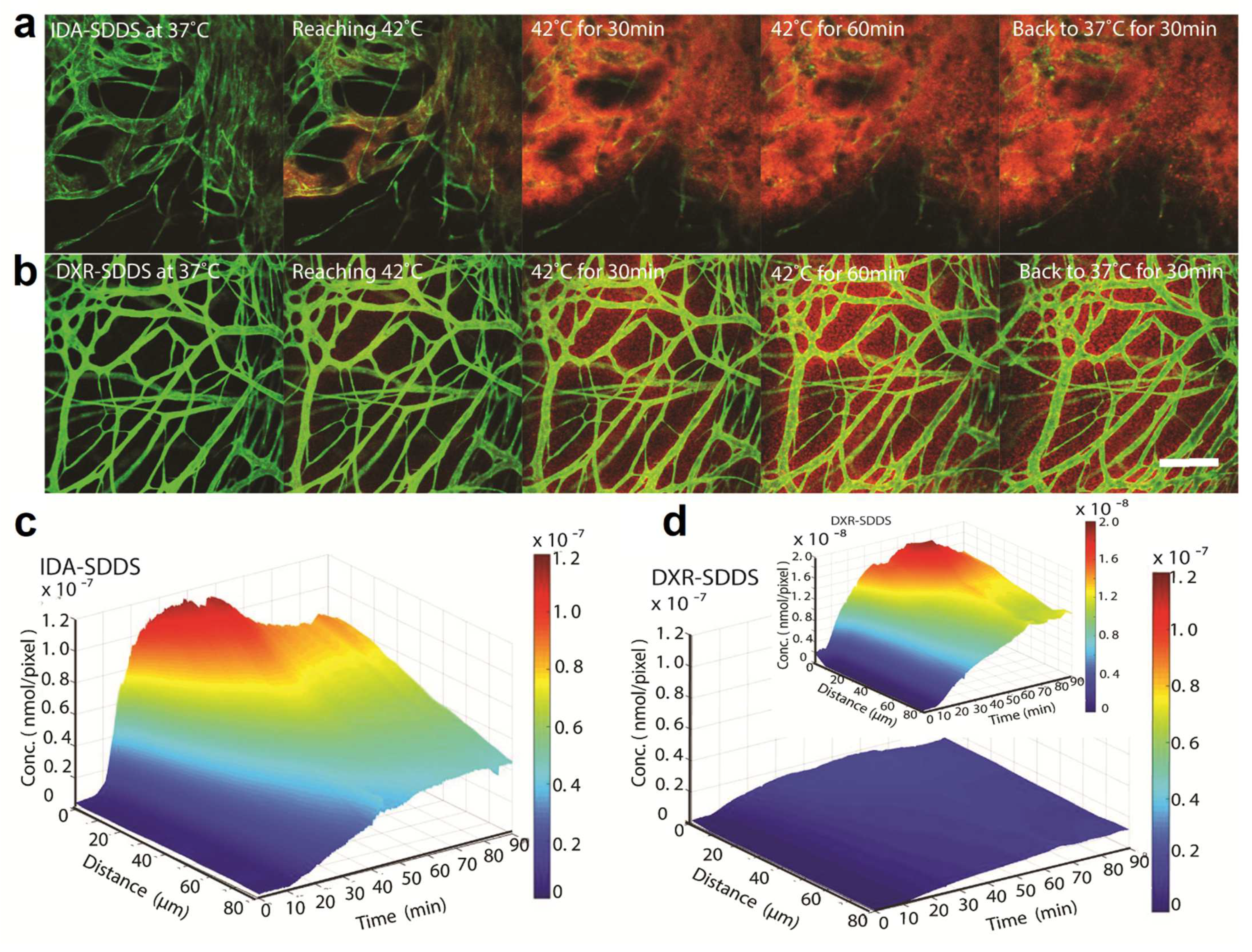 Pharmaceutics 14 02165 g006