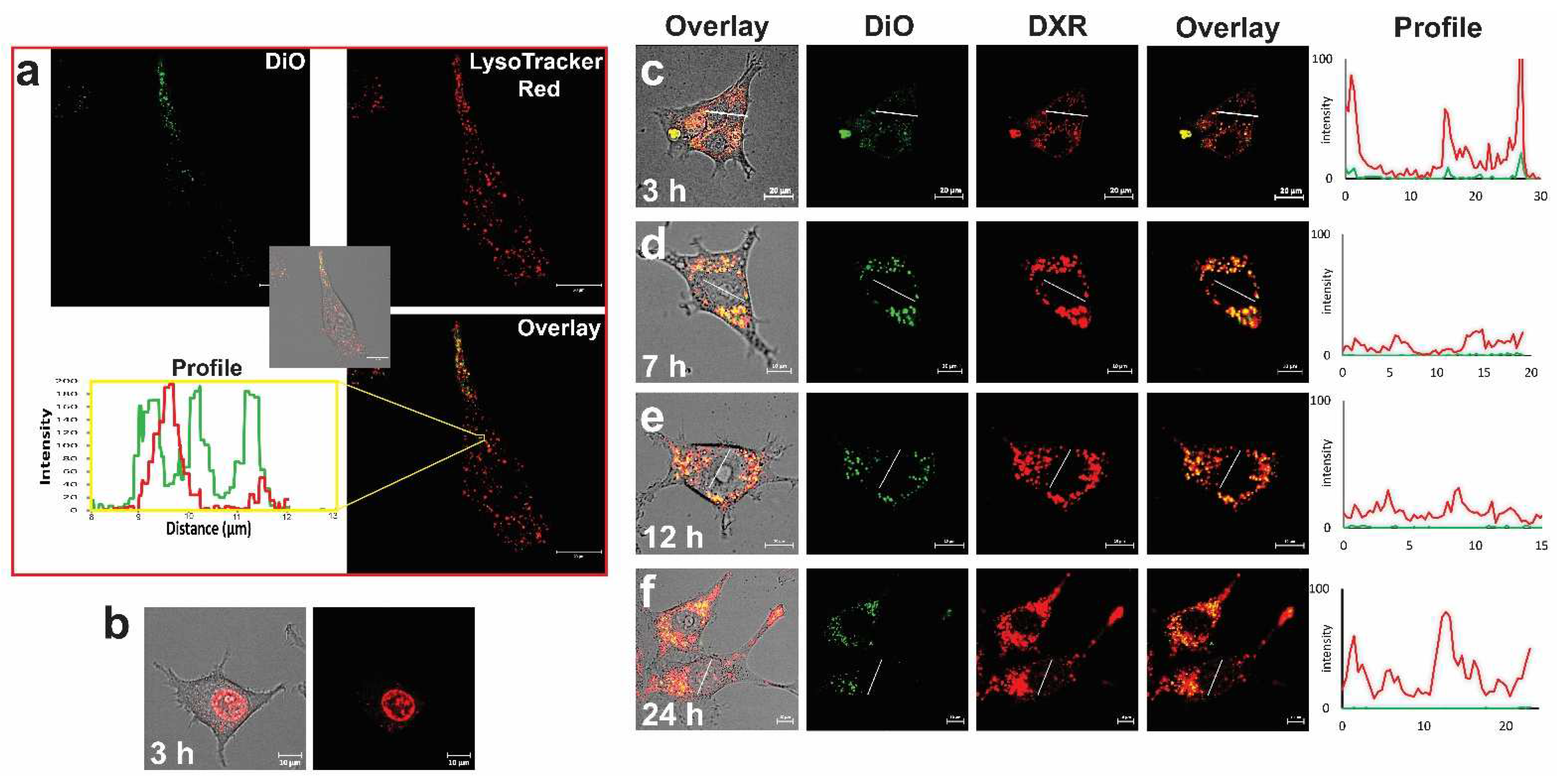 Pharmaceutics 14 02165 g009