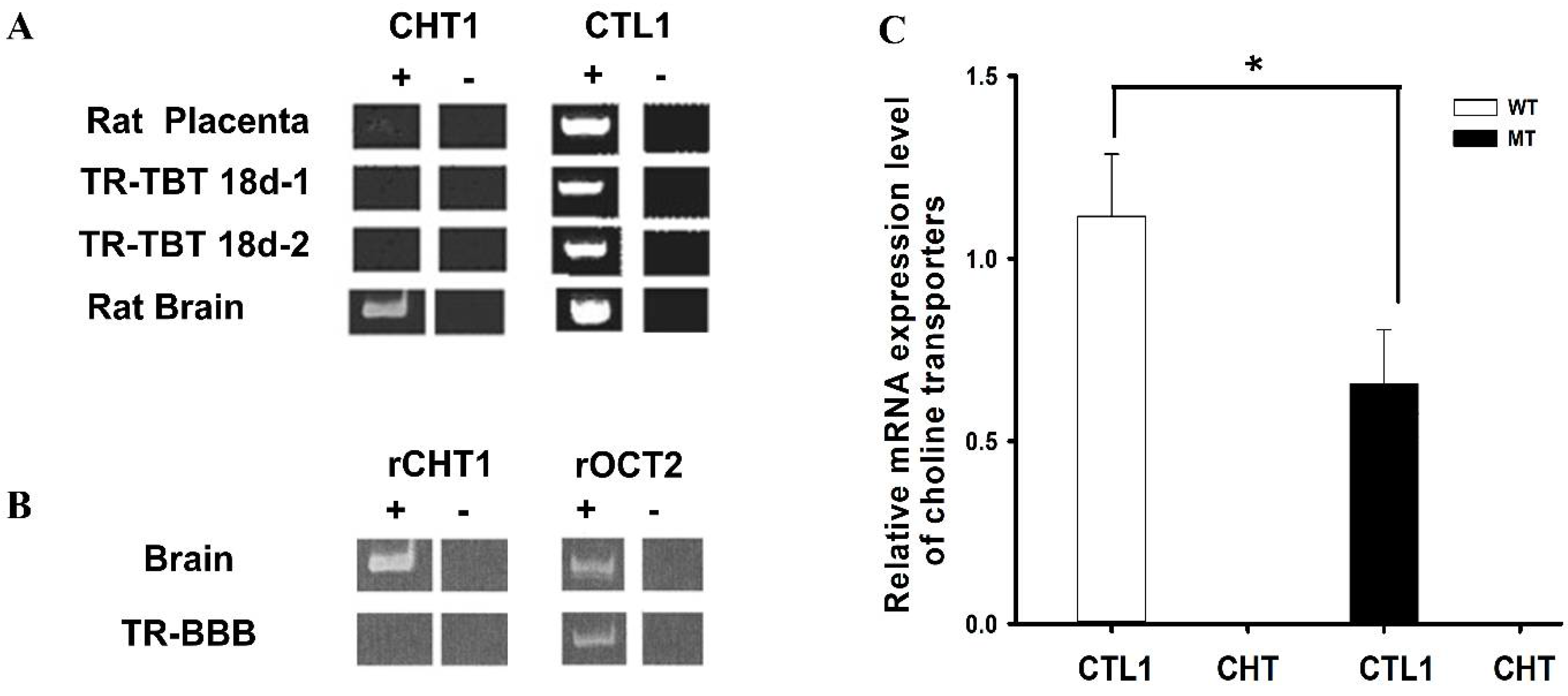 Pharmaceutics 14 02167 g002
