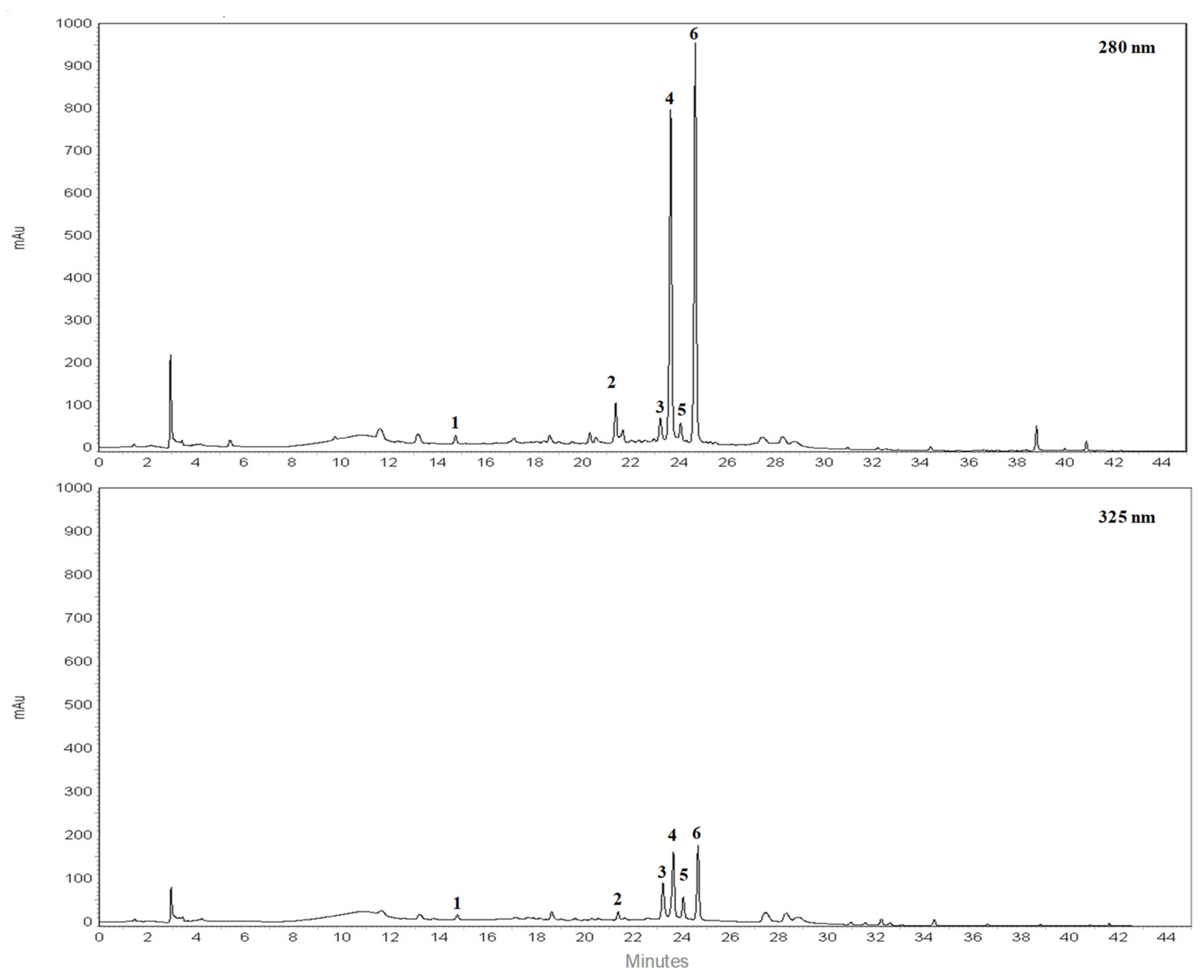 Pharmaceutics 14 02168 g001