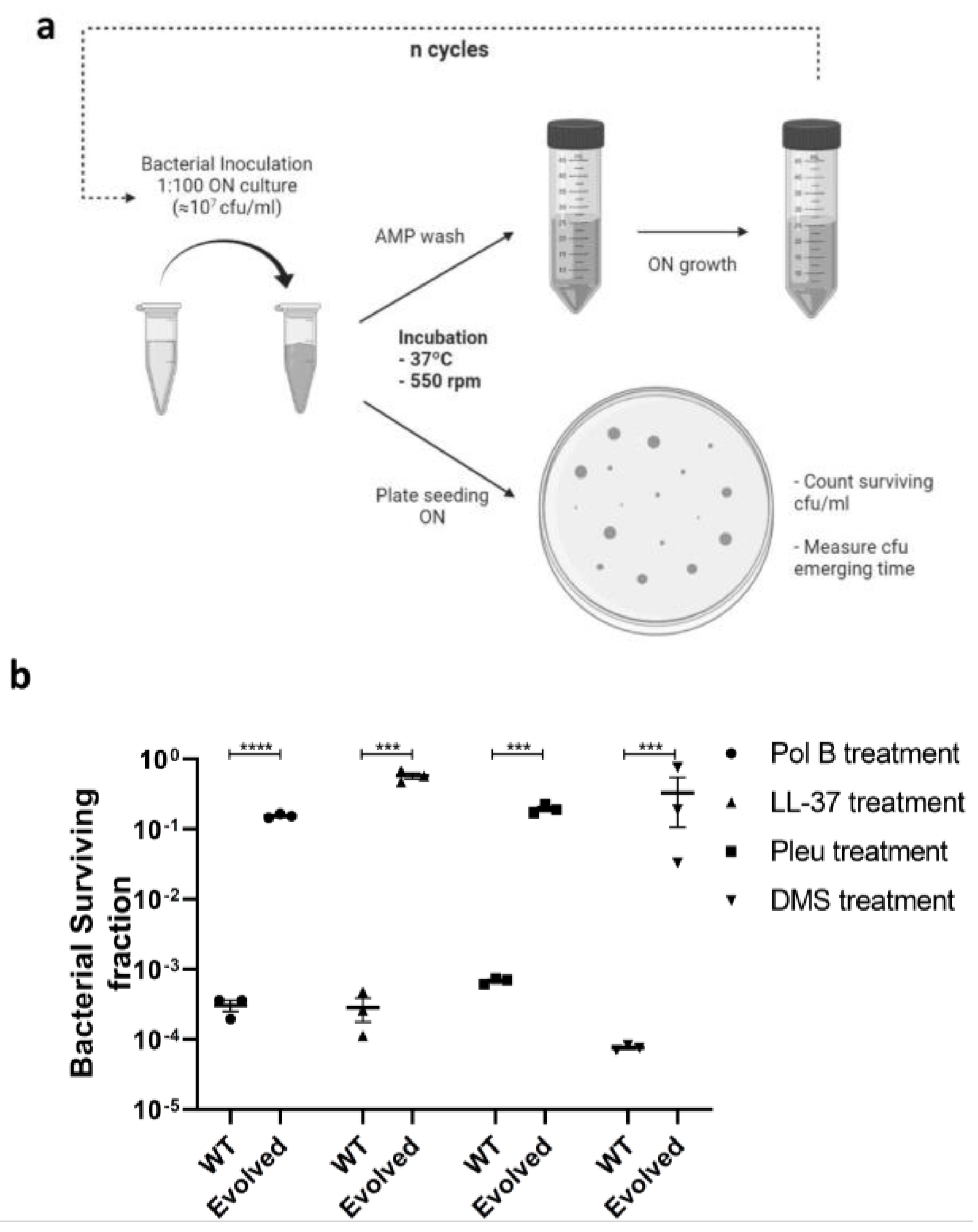 Pharmaceutics 14 02169 g001