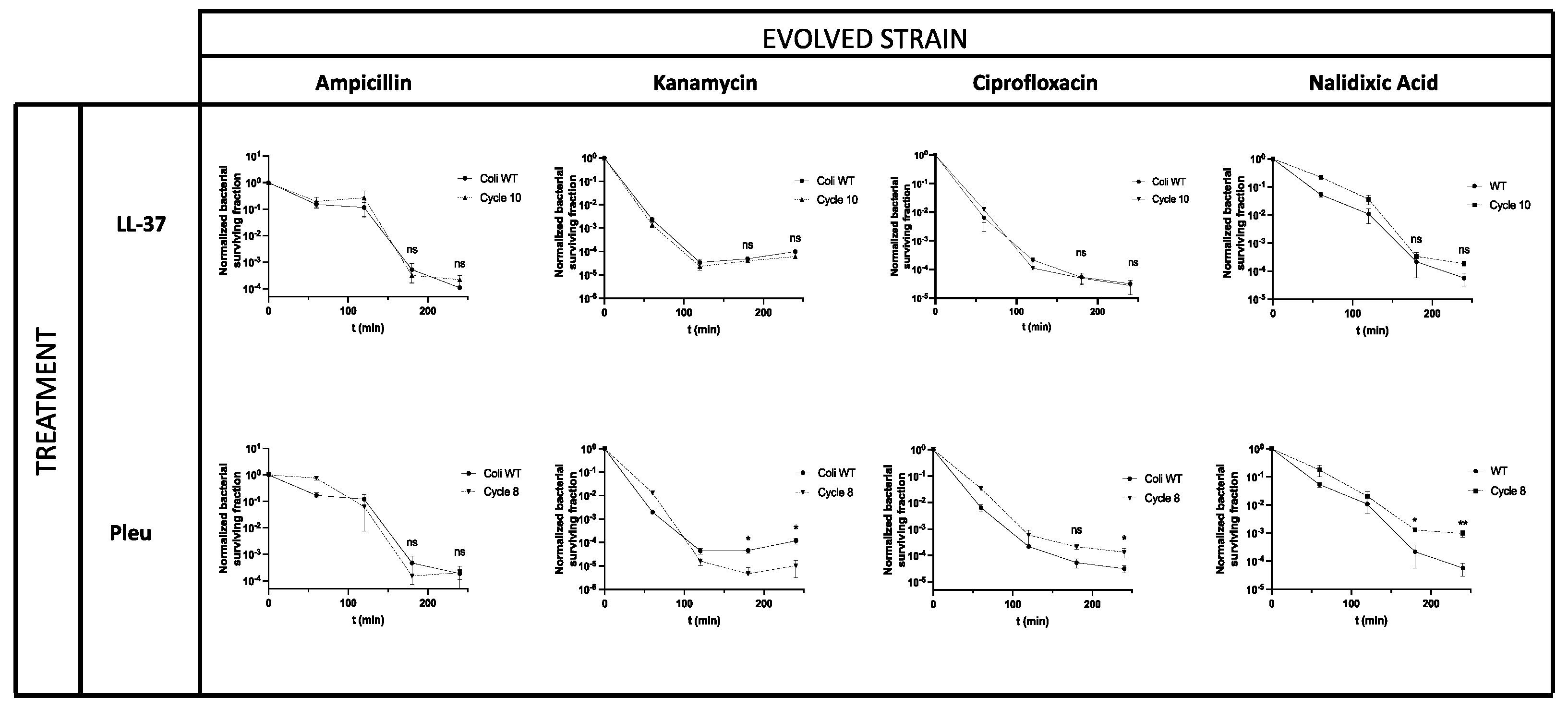 Pharmaceutics 14 02169 g004
