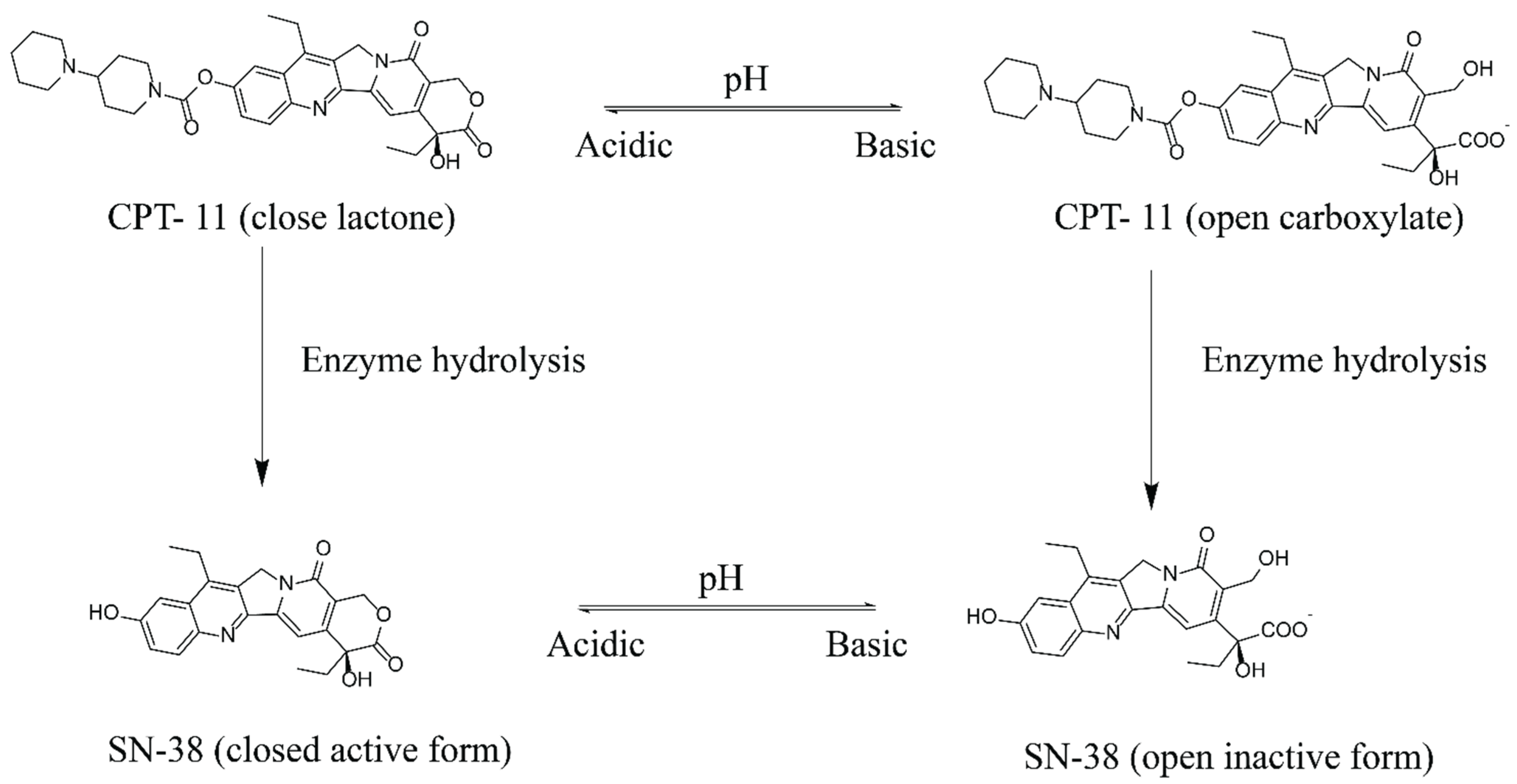 Pharmaceutics 14 02175 g001