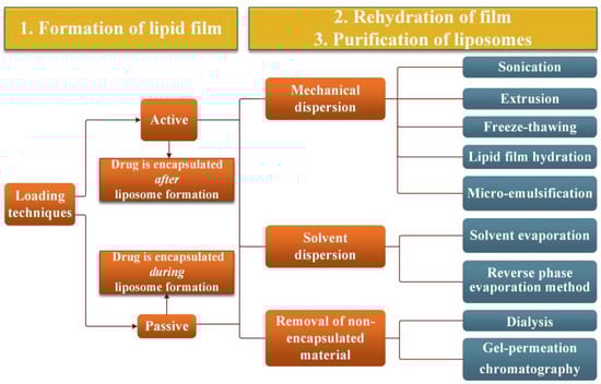 Pharmaceutics 14 02180 sch002