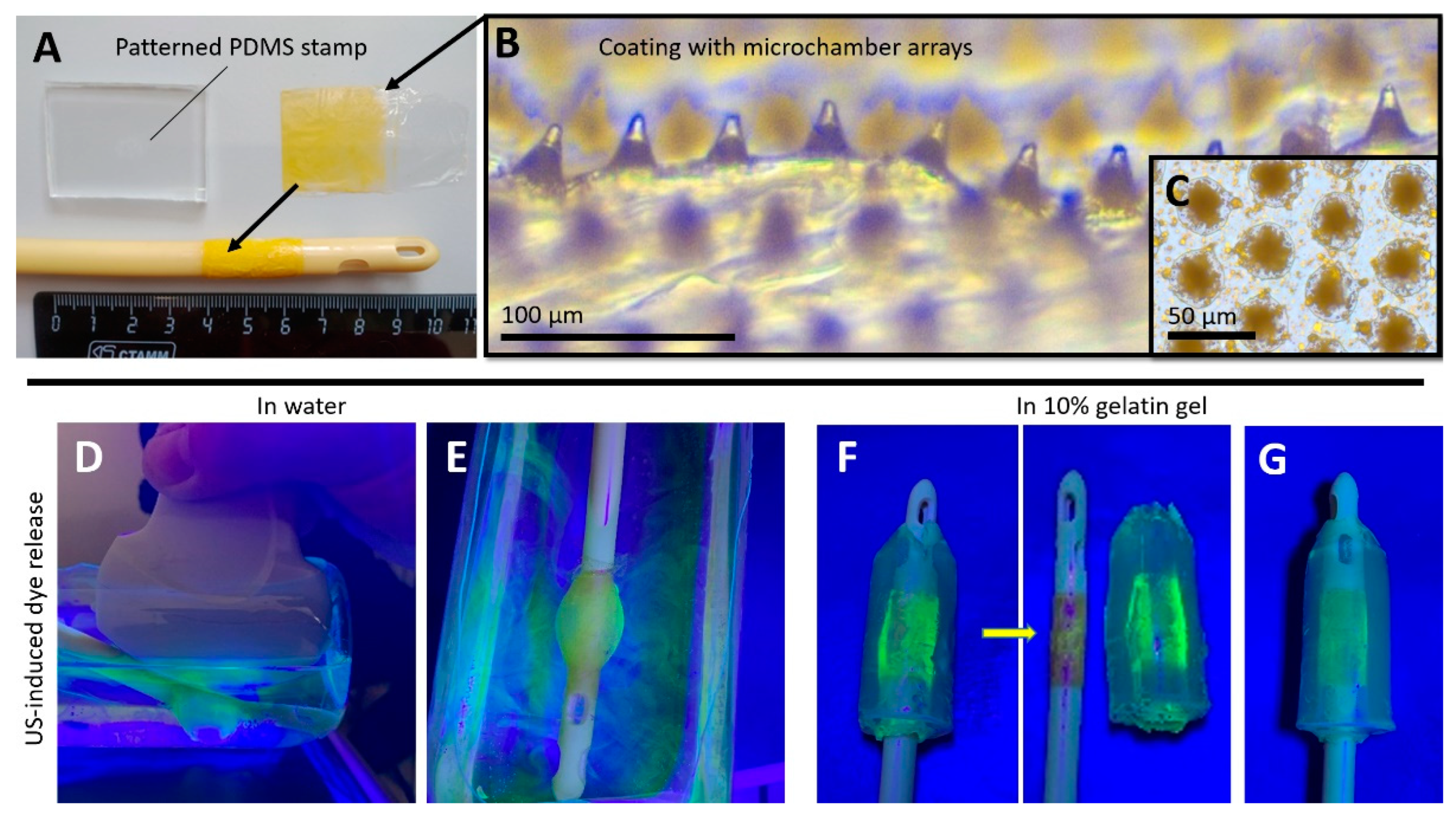 Pharmaceutics 14 02186 g002