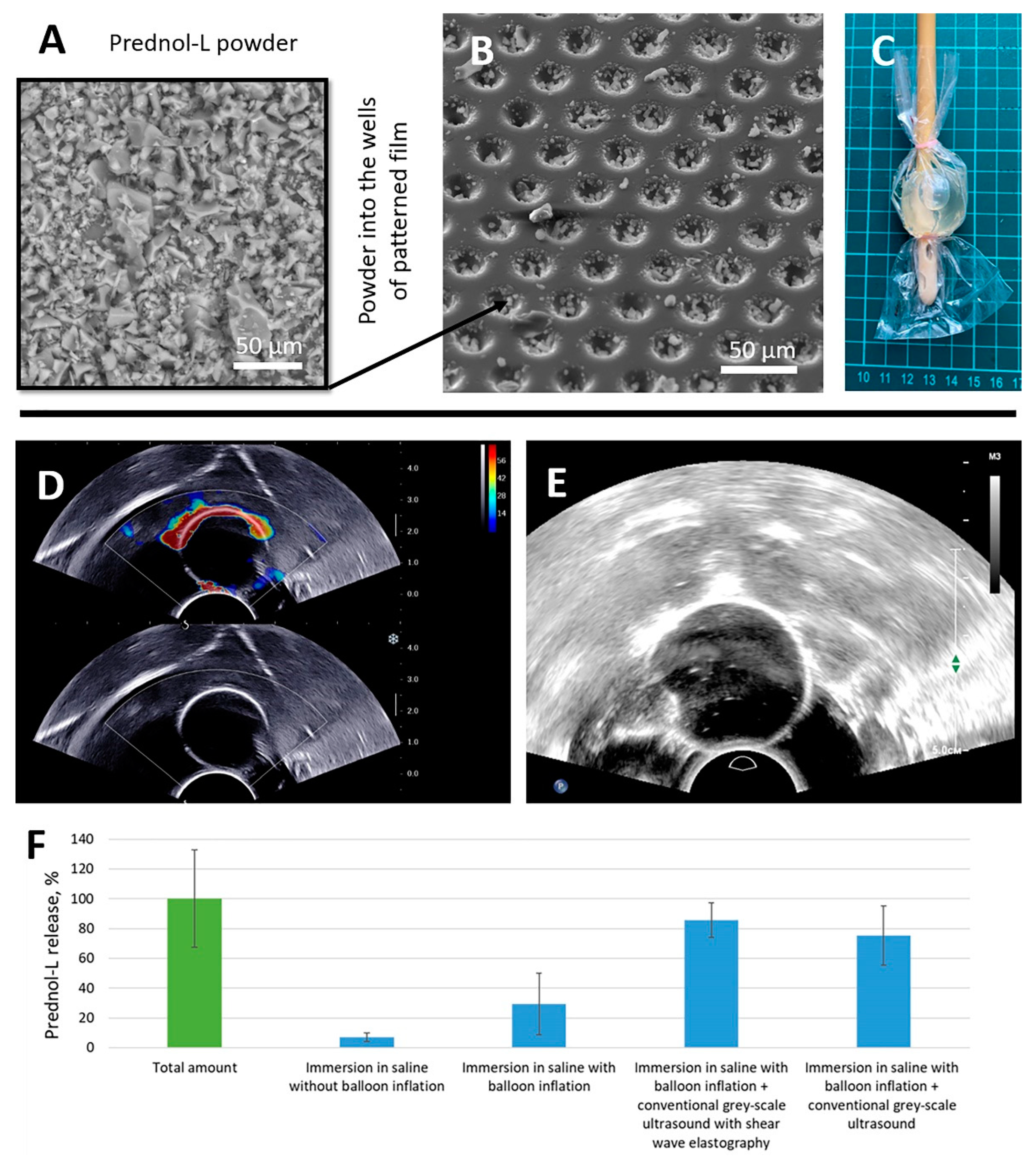 Pharmaceutics 14 02186 g003