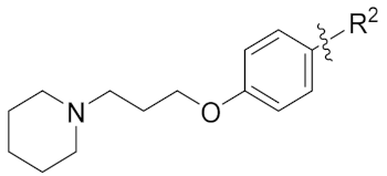 Pharmaceutics 14 02187 i017 Pharmaceutics 14 02187 i017