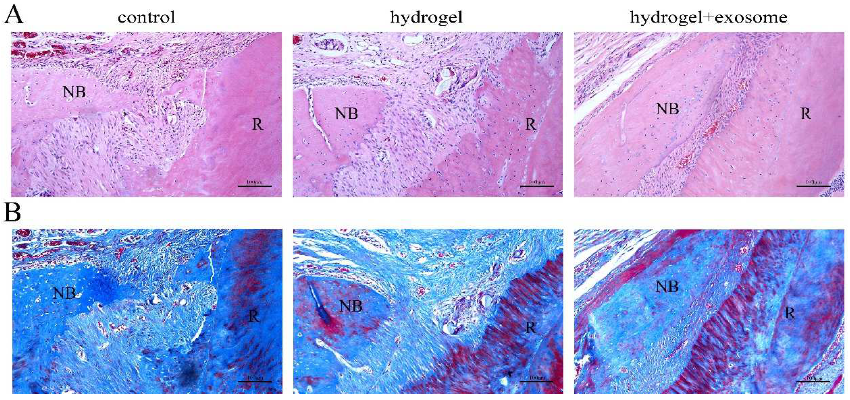 Pharmaceutics 14 02189 g006 Pharmaceutics 14 02189 g006