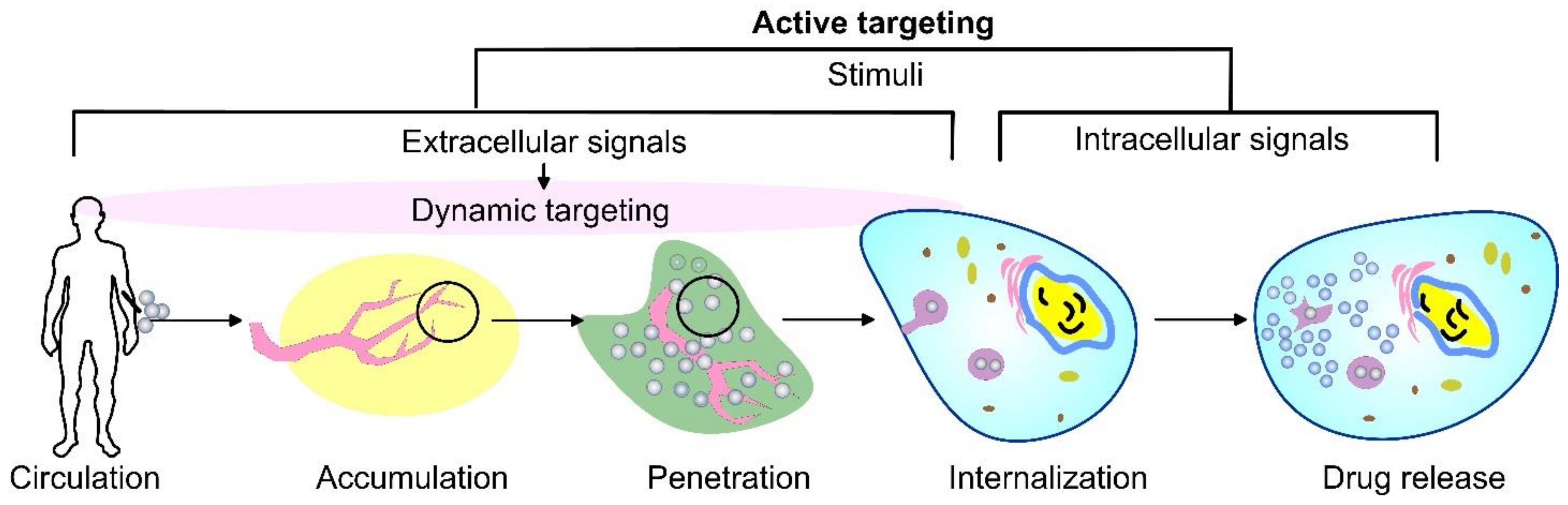 Pharmaceutics 14 02195 g002 Pharmaceutics 14 02195 g002