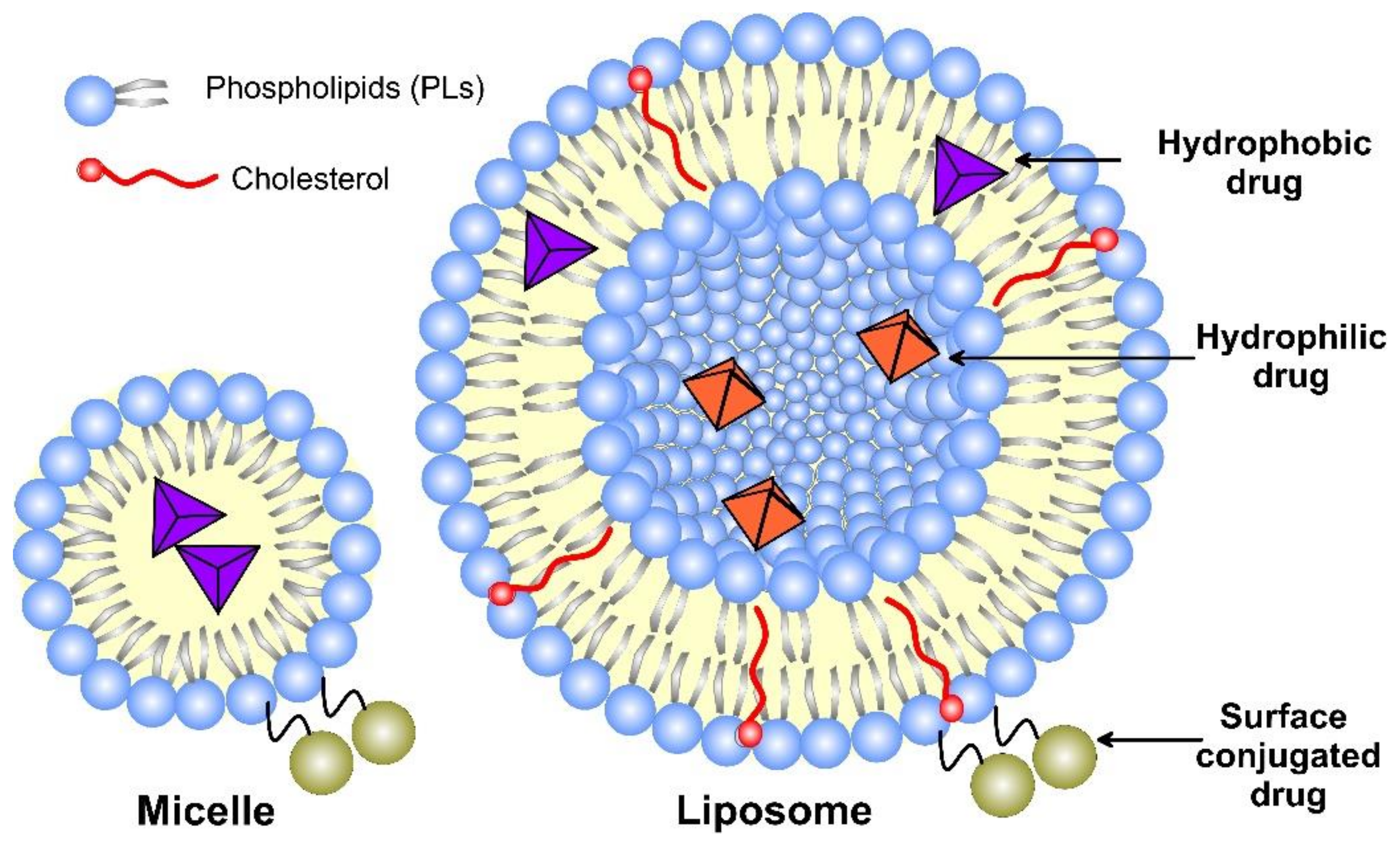 Pharmaceutics 14 02195 g003 Pharmaceutics 14 02195 g003