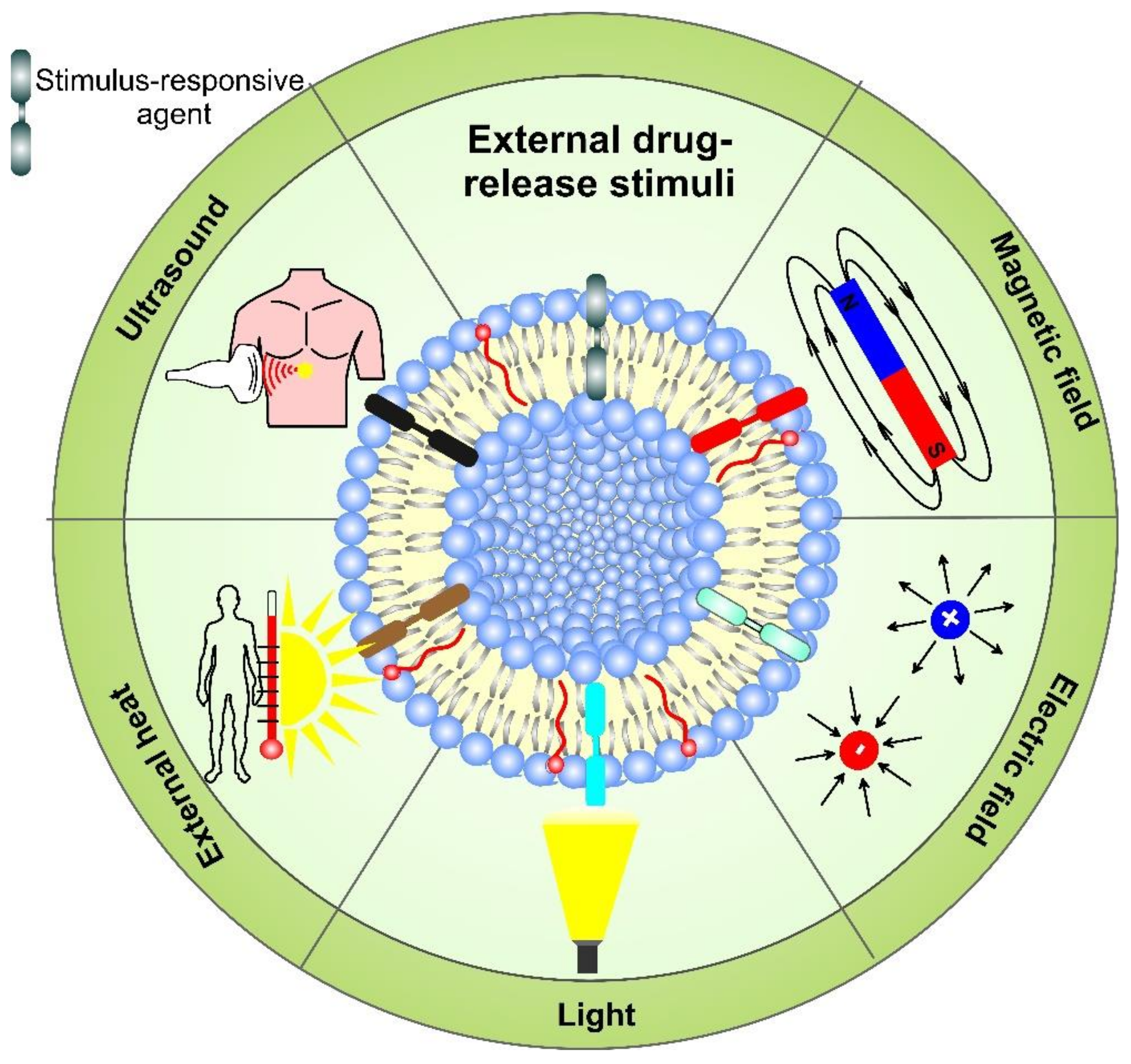 Pharmaceutics 14 02195 g009 Pharmaceutics 14 02195 g009