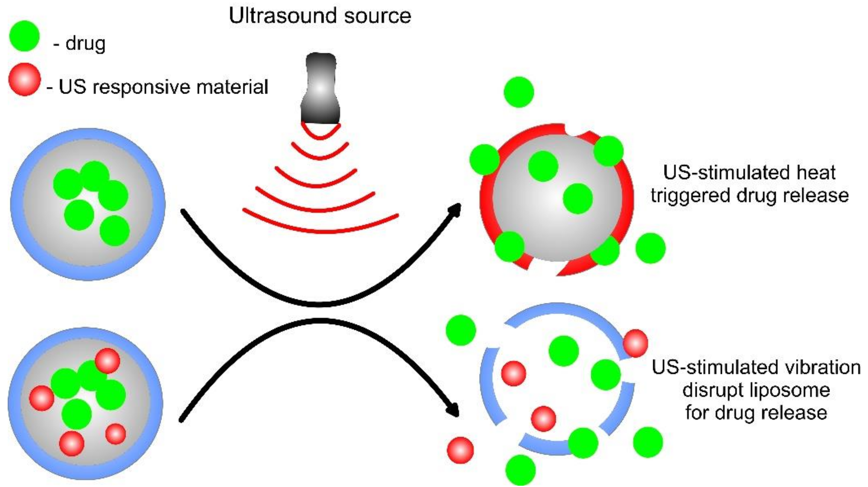 Pharmaceutics 14 02195 g010 Pharmaceutics 14 02195 g010