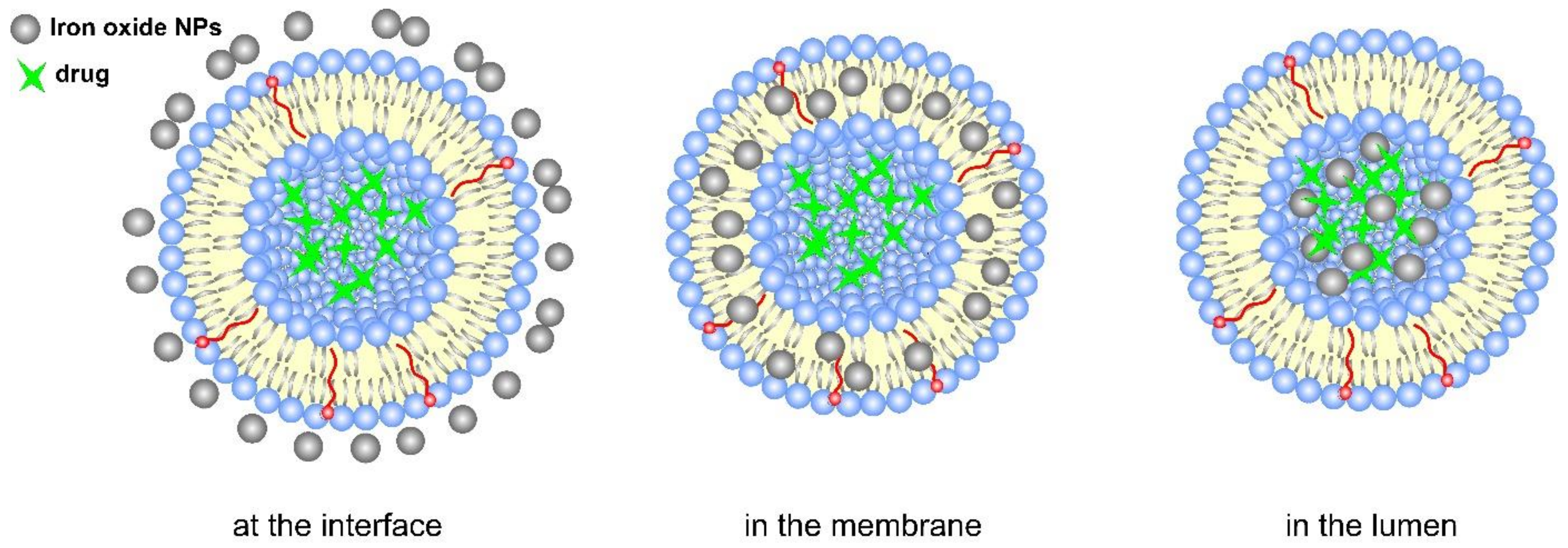 Pharmaceutics 14 02195 g012 Pharmaceutics 14 02195 g012